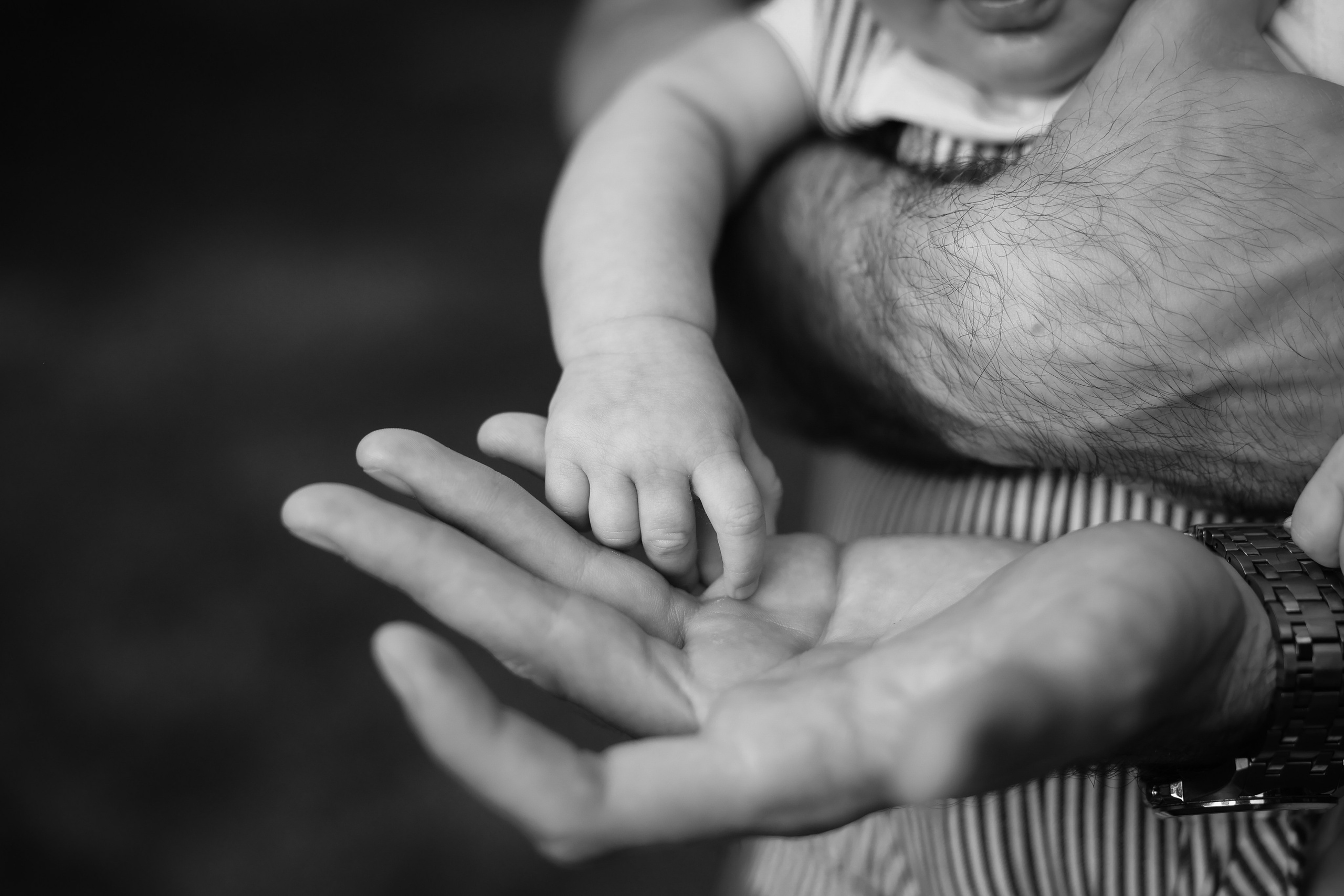 Porodične fotografije