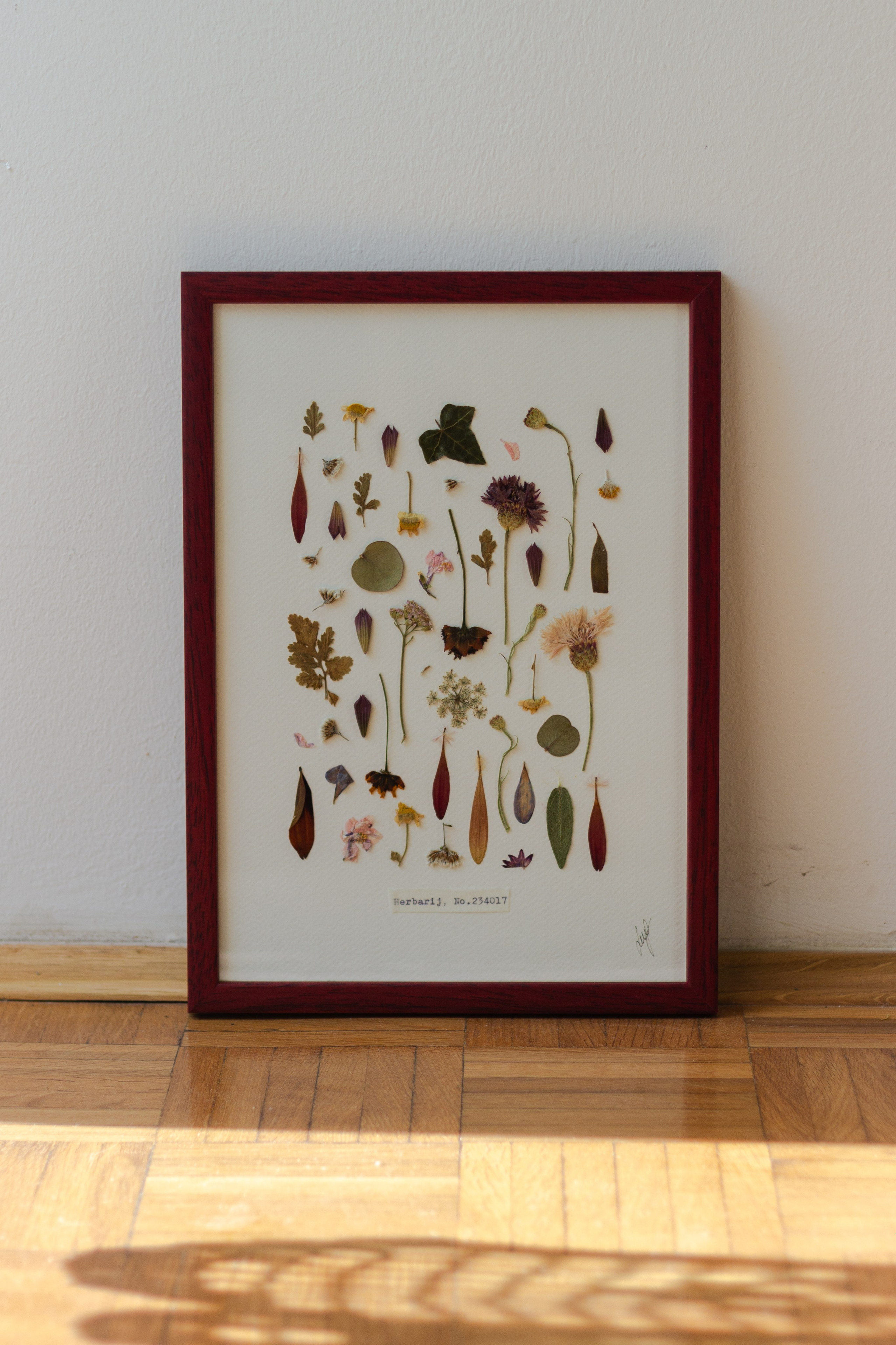 Herbarij, presa, okvir, slika, ručni rad, herbarium, art, umjetnost, home made, artistic