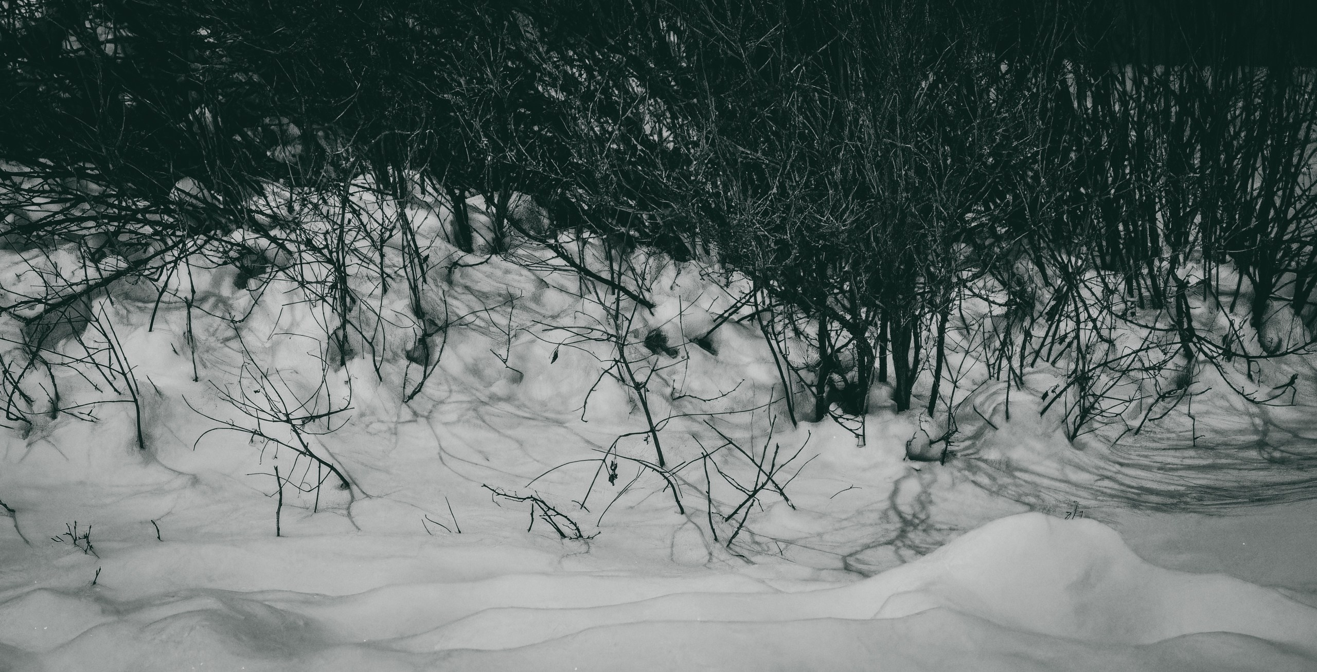 Talvine öö. Nebula 25 — Fotod teie hingele