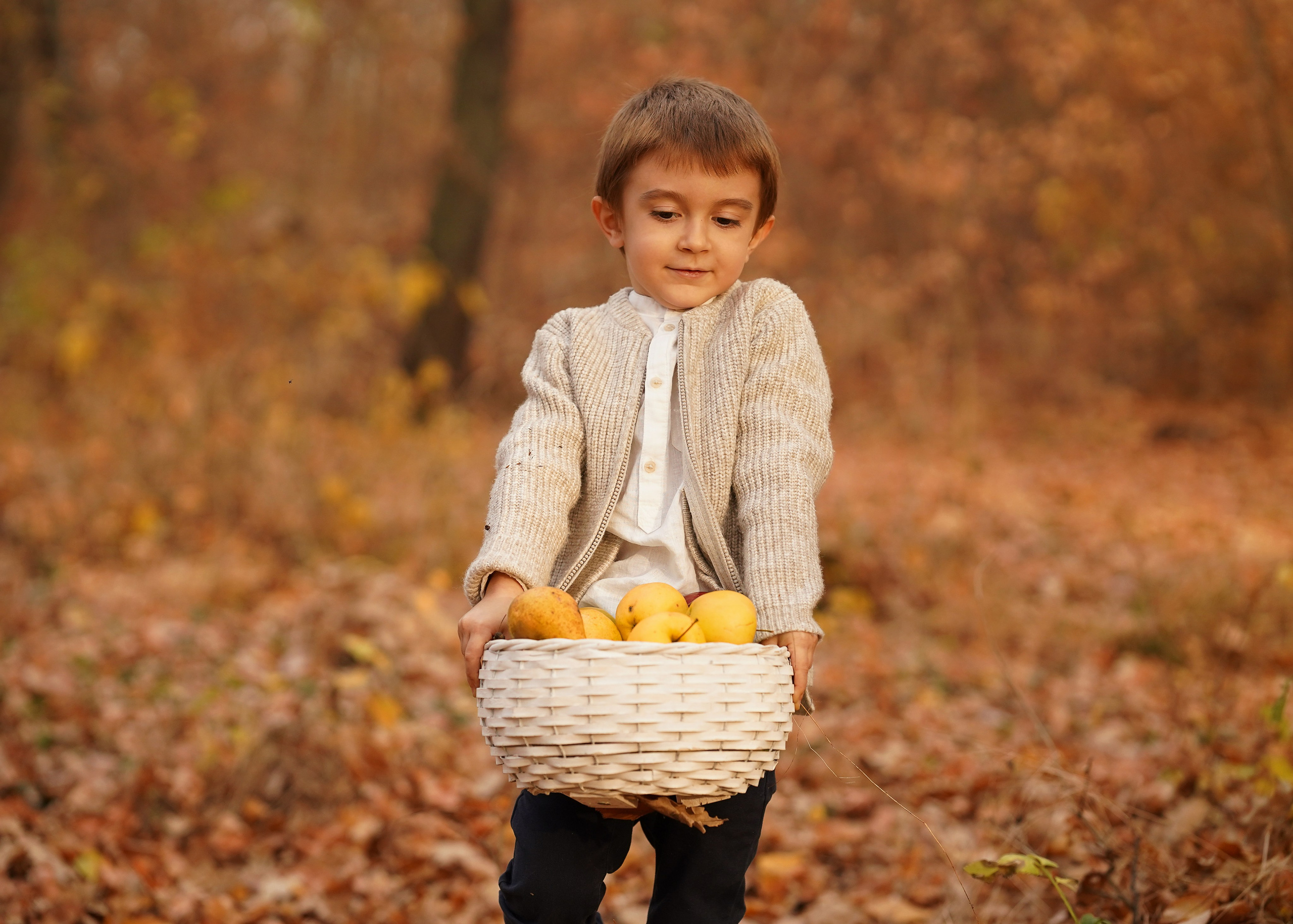Famille. Photographe Portraitiste et Spécialiste en Photographie de Famille et Mariages — Région de Lille, Valenciennes