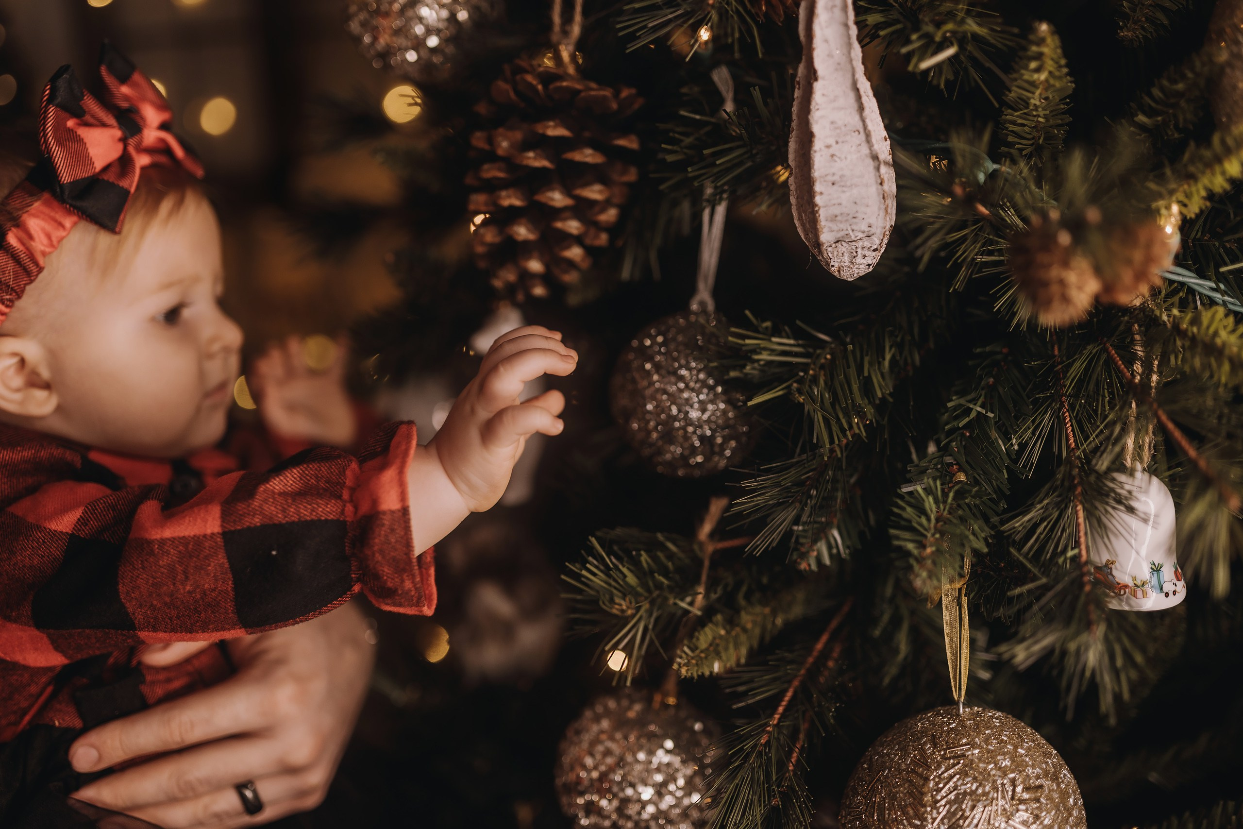 25.11.2023 Christmas Photoshoot 1. Wedding family event photographer in Chicago Nick Yushevich