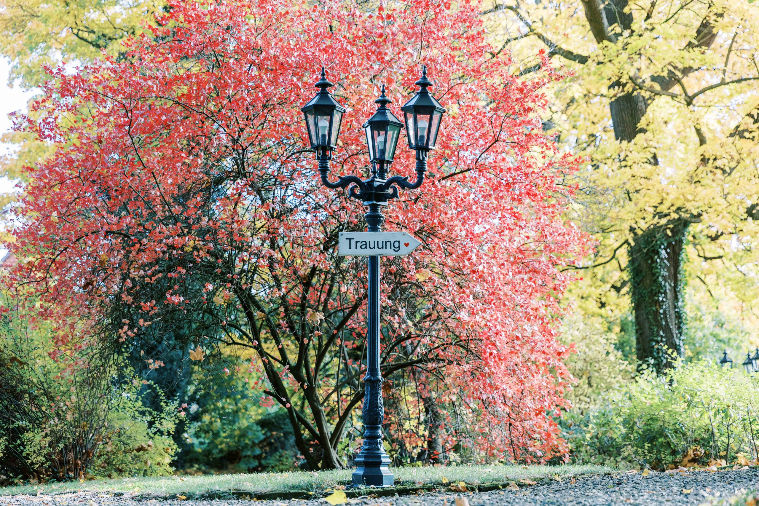 Schloss von Hammerstein Hochzeit