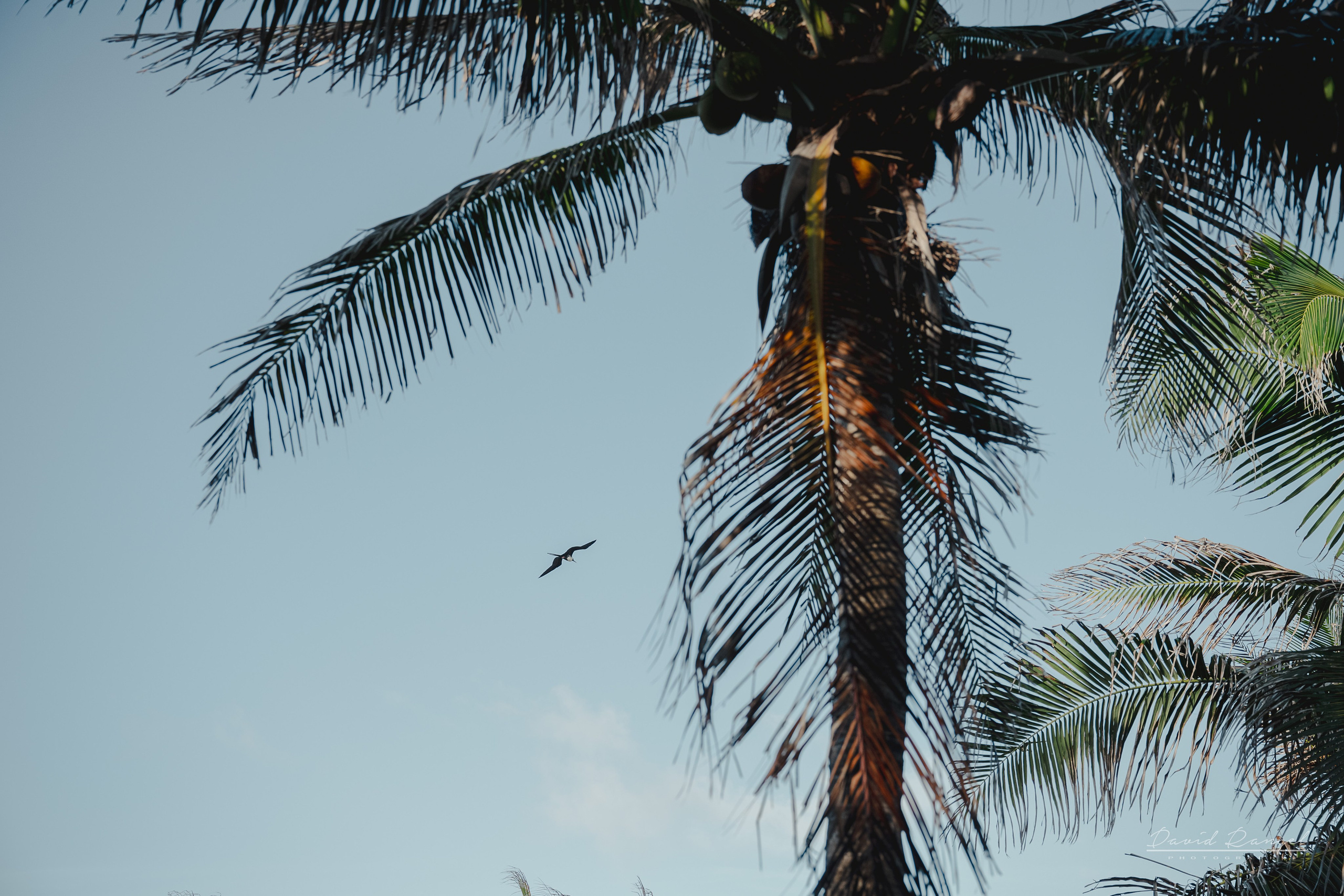 Destination Wedding on Isla Mujeres