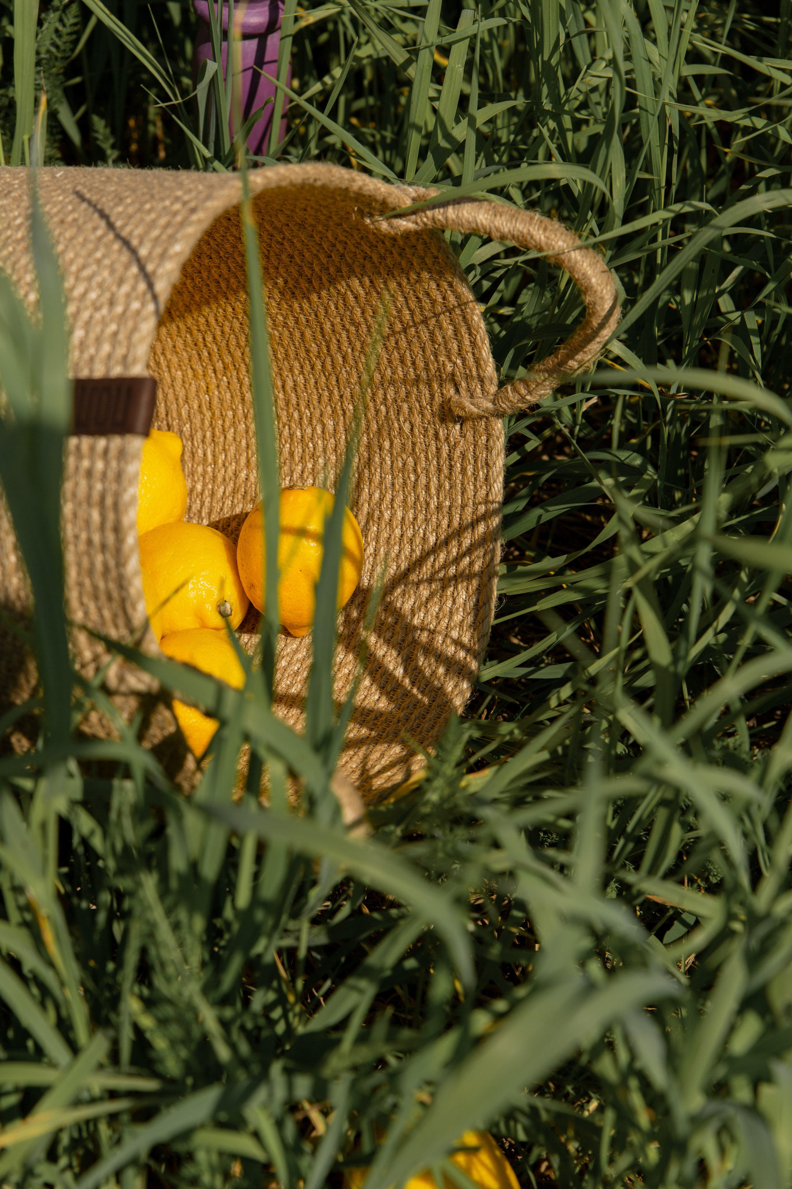 Second breath. Pole. Photographer Vladmir Gladkov