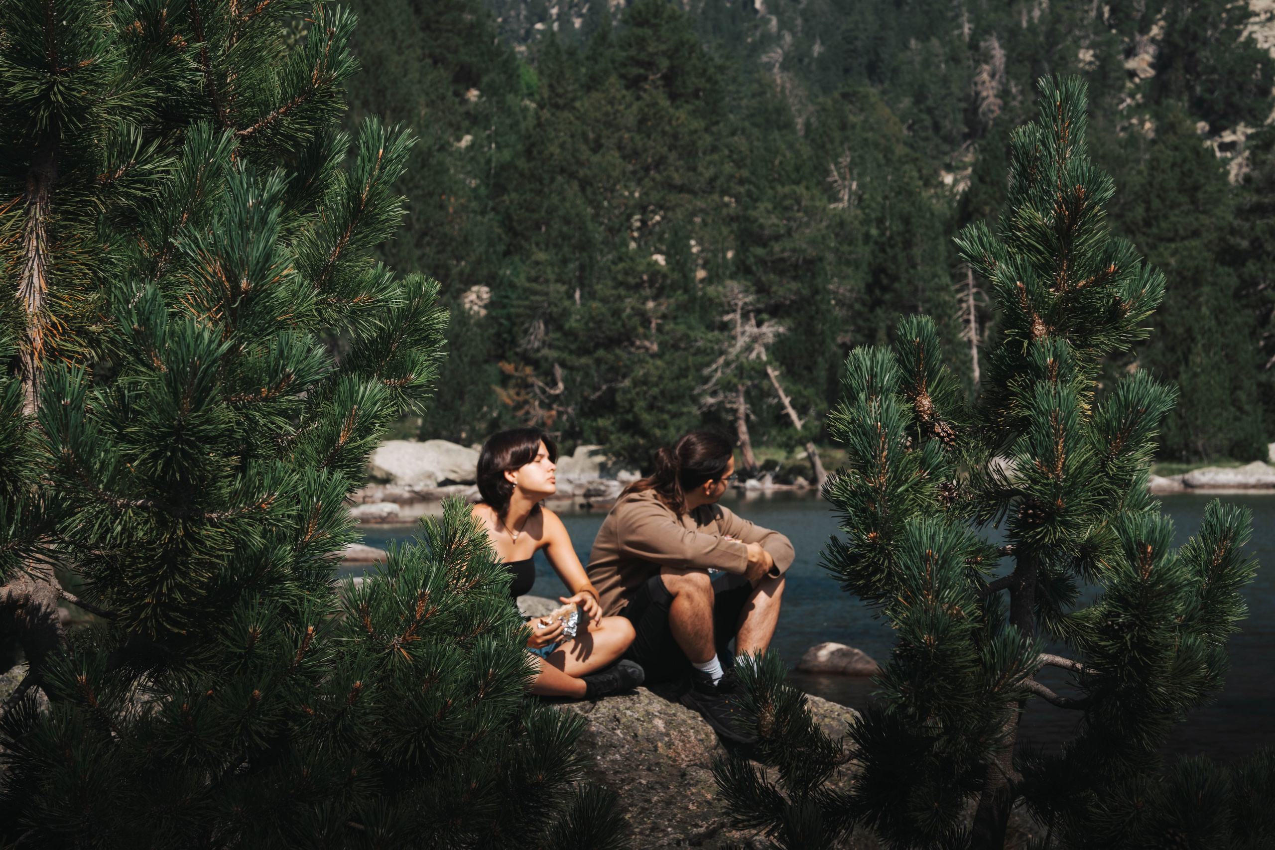 Parque Nacional de Aigüestortes y Estany de Sant Maurici. Alba del Norte Studio
