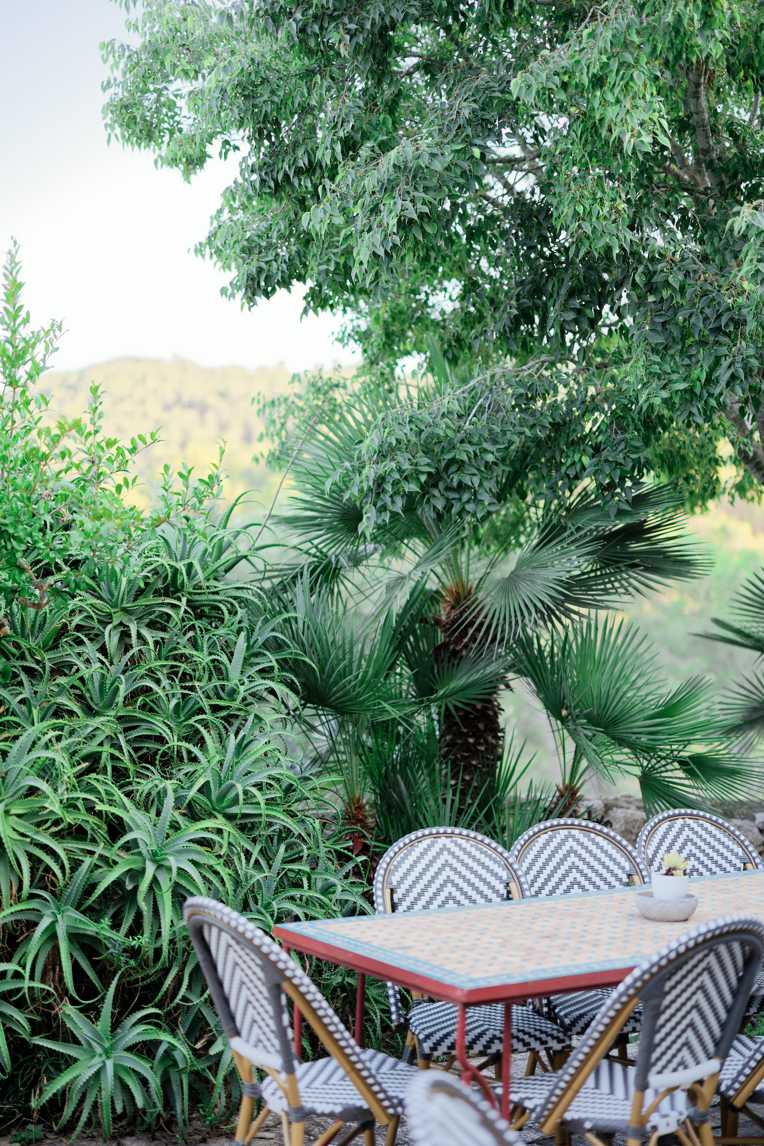 Haldi Ceremony & Mehndi Night & pre-wedding dinner, Barcelona