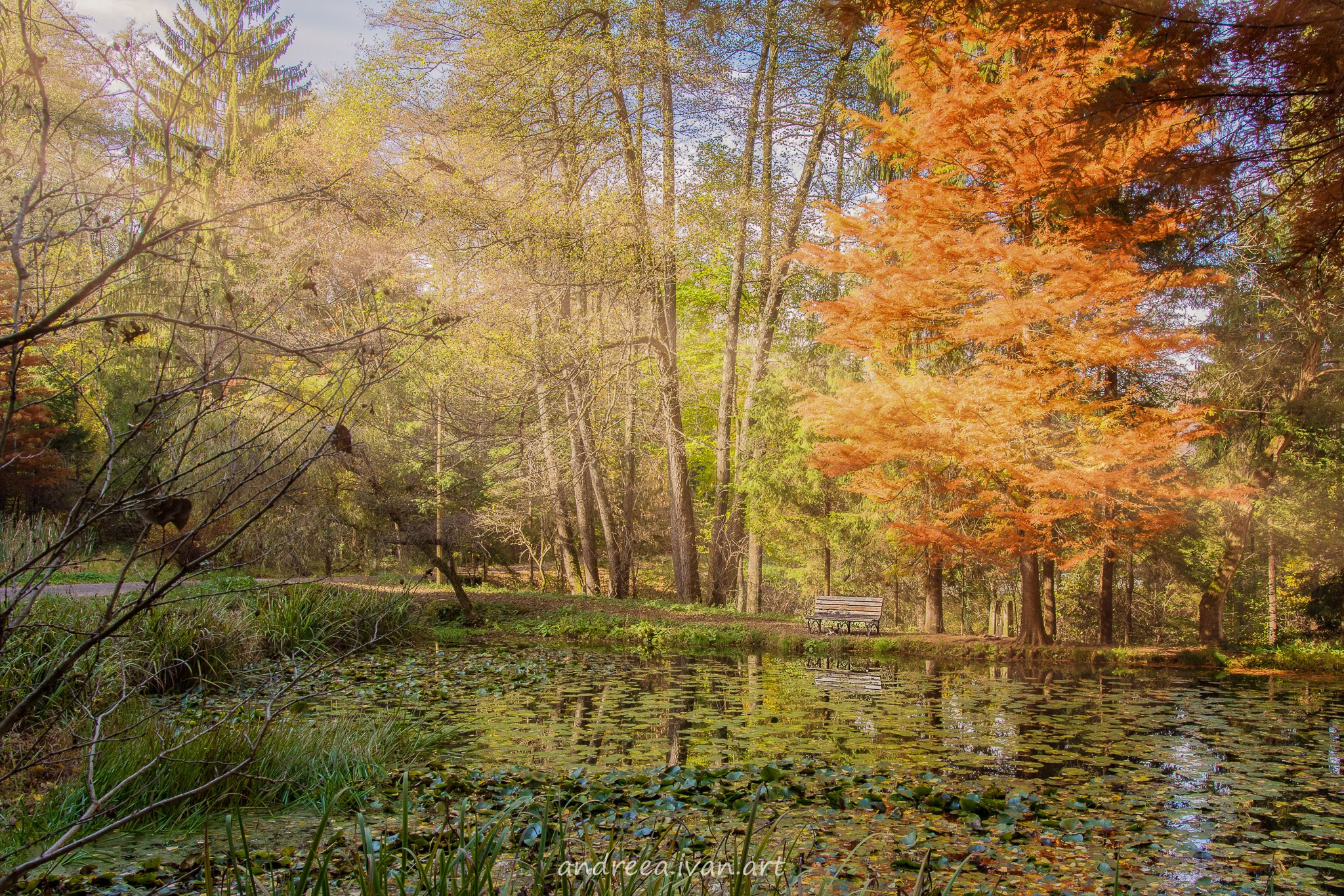 ~Peisaje~. Andreea Ivan art-Fotograf Constanta, Fotograf profesionist Constanta, Fotograf de nunta Constanta, botez, sedinte foto cu tematica, portret