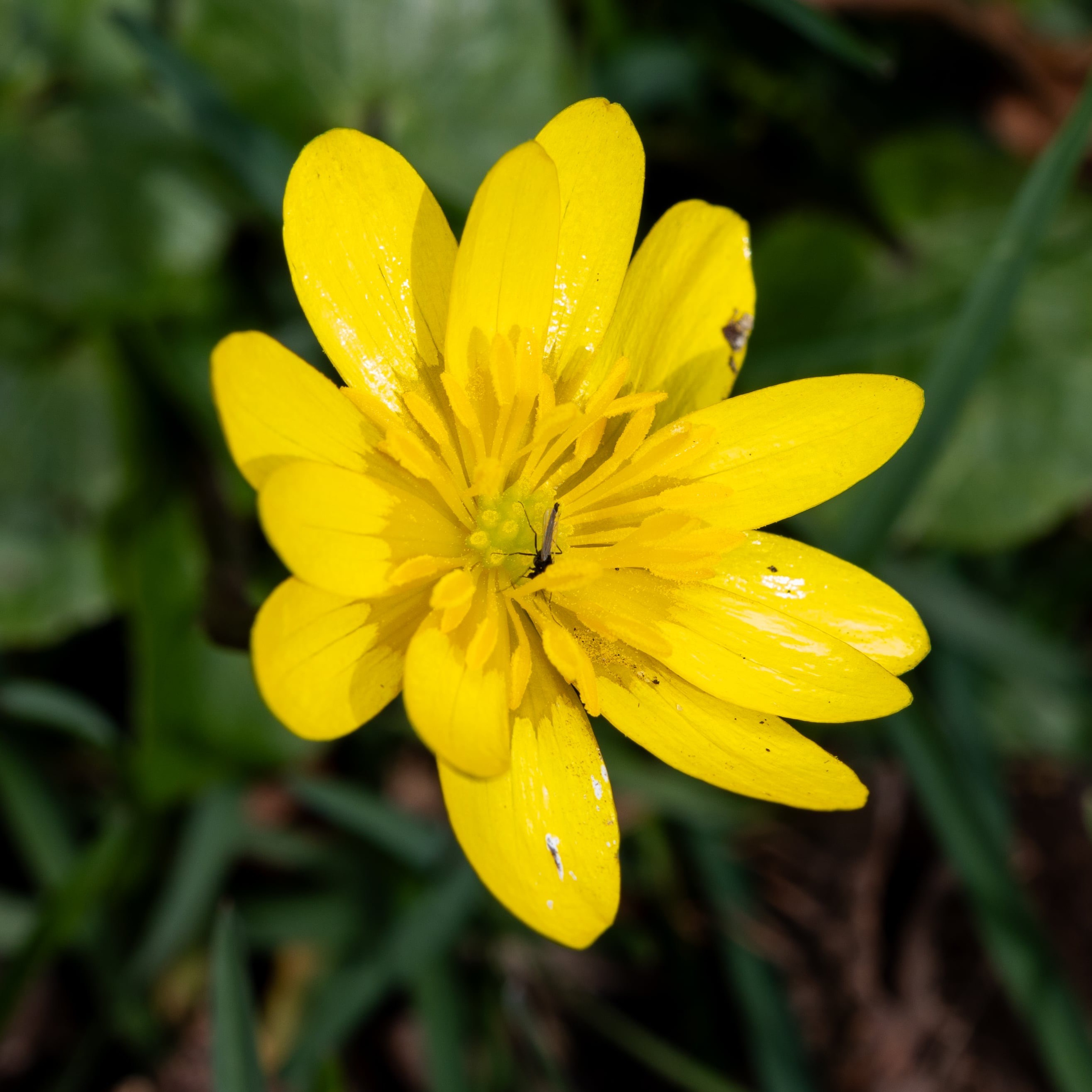 Forår. Fotograf Aarhus | Portrætfoto Århus | Flotte billeder