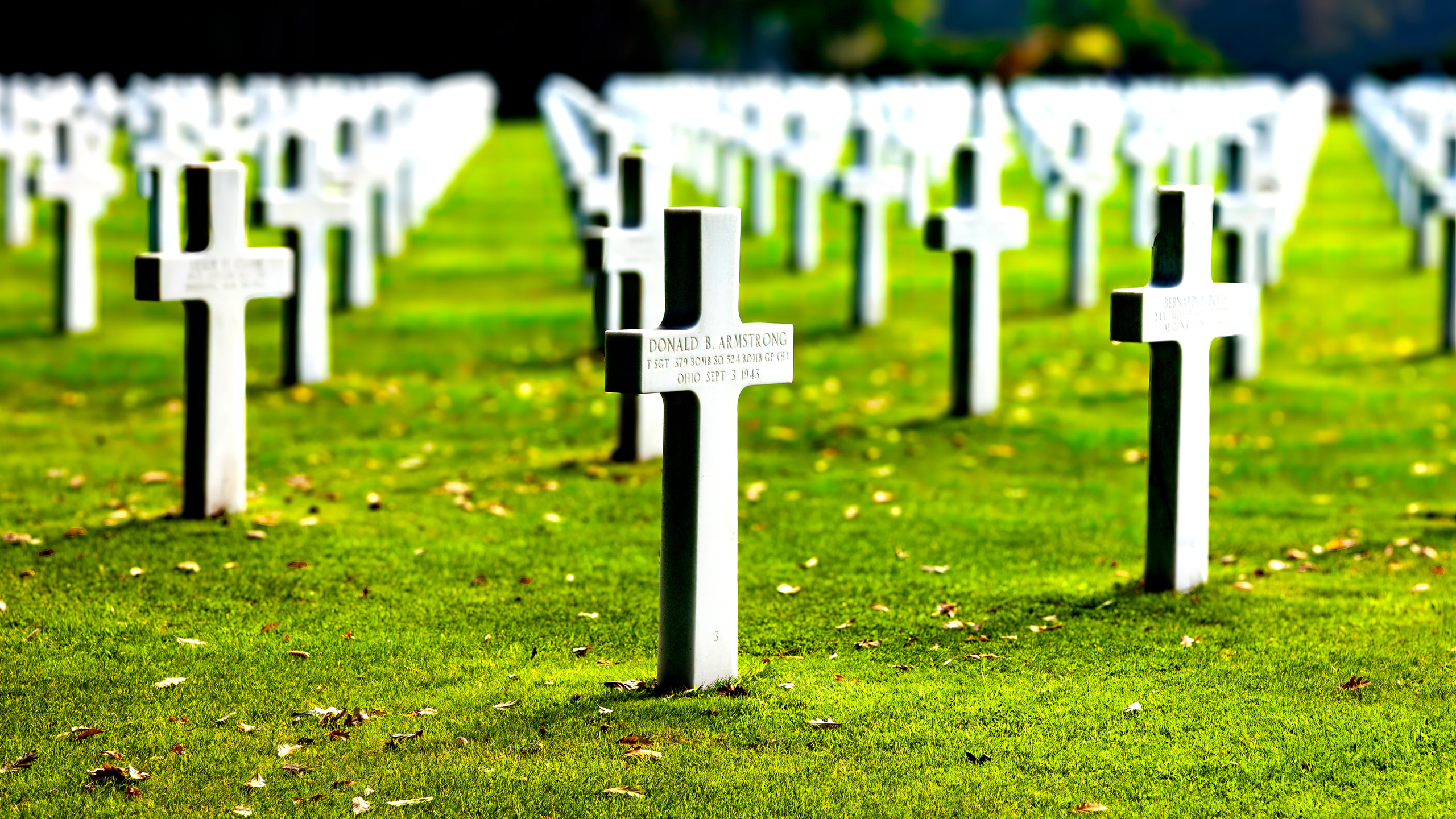 179.Normandy American Cemetery.France.19.9.2024. Путешествия в формате 360......