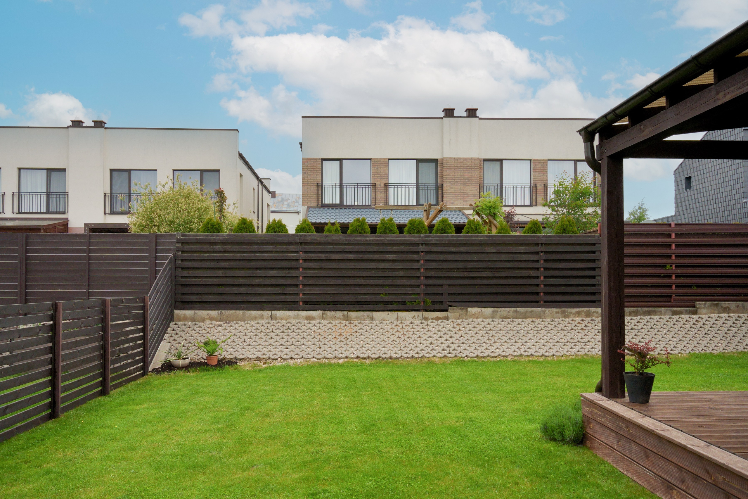 Tarandė. Elina Sapiega fotografė Vilniuje