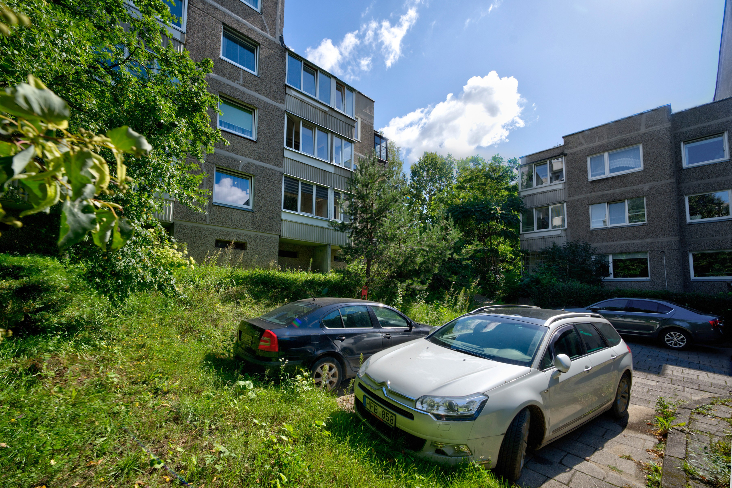 Gabijos g. Elina Sapiega fotografė Vilniuje