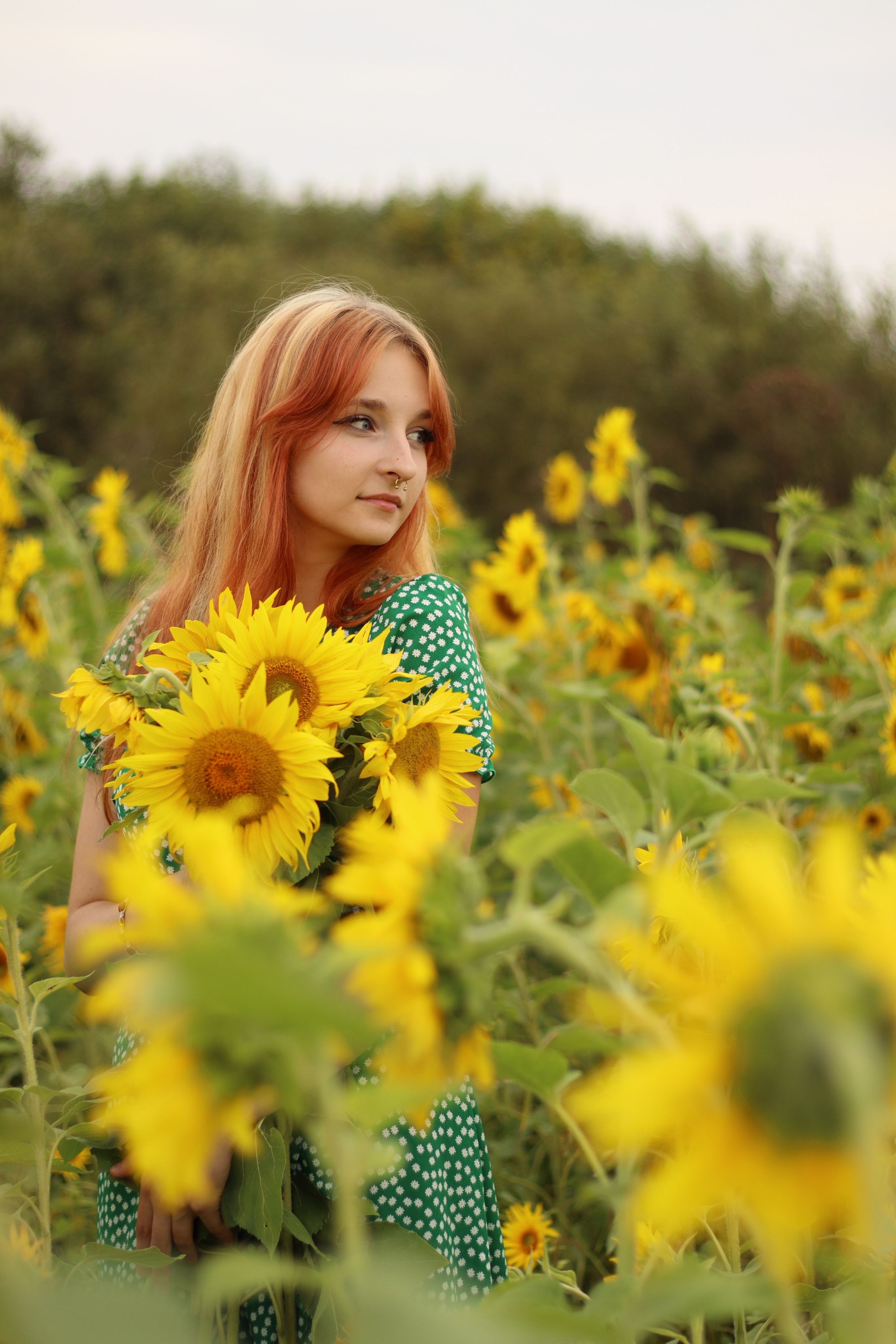 Фотосессия в подсолнухах. Фотограф / Даугавпилс / Ольга Антонова