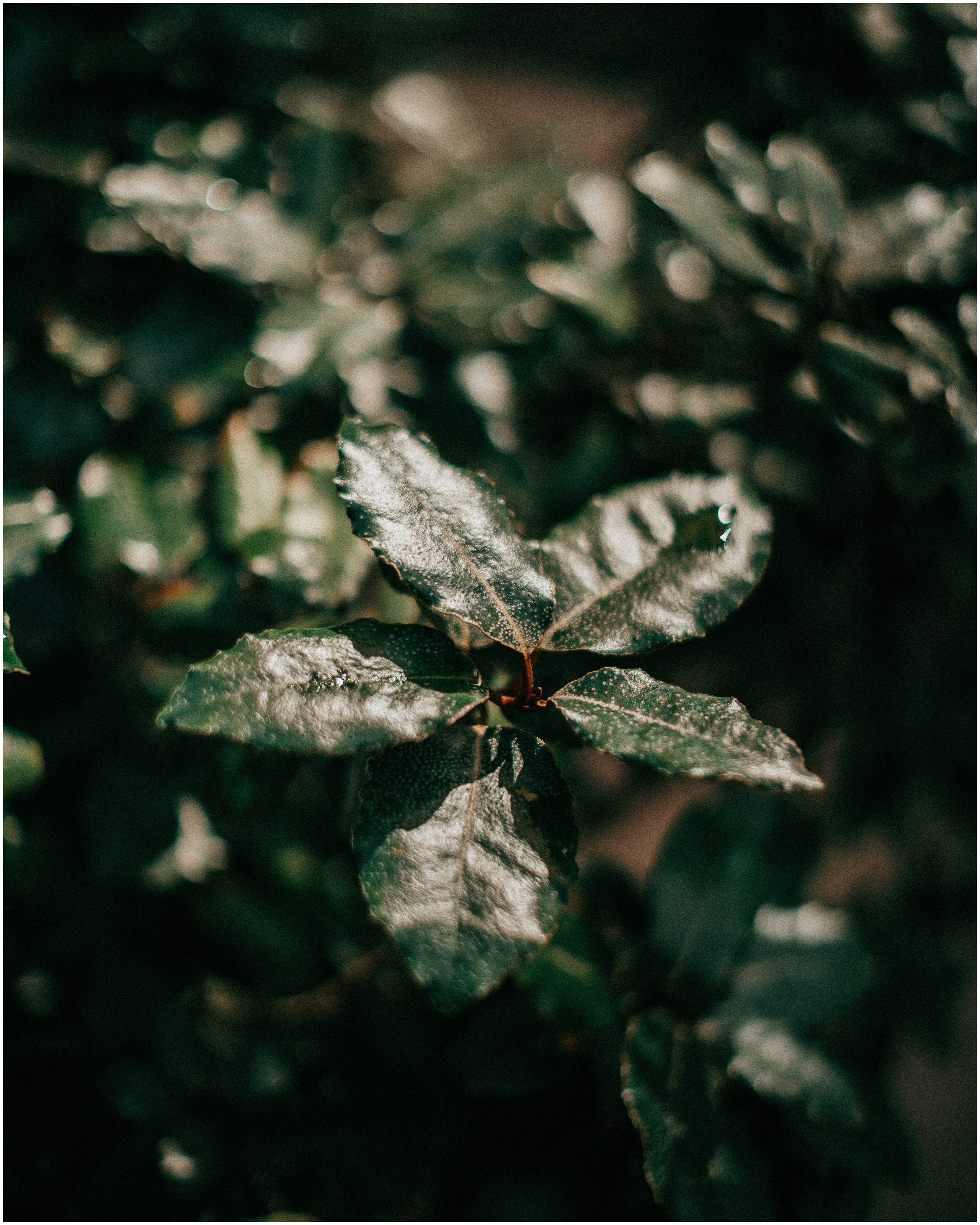 PALERMO. Photographer Inna Mendelson