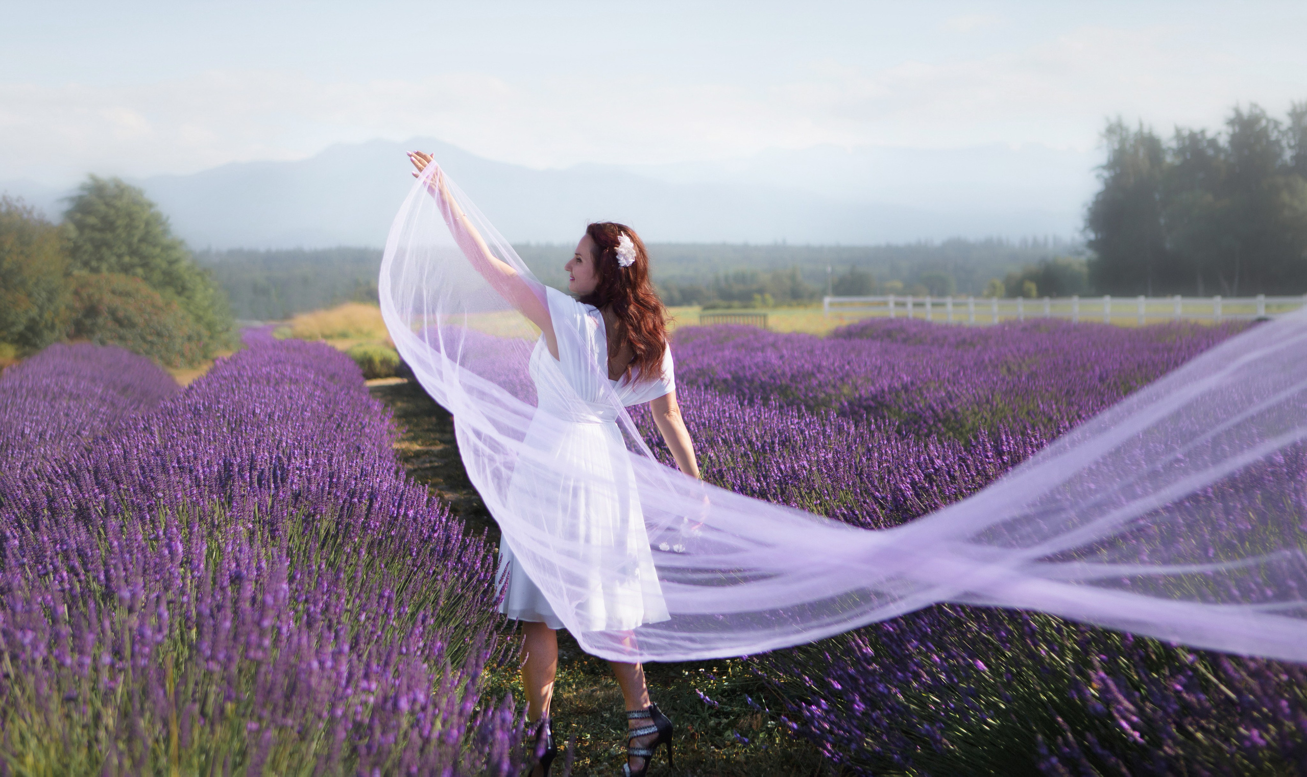 Lavender fields photoshoot. YuAnna studio. Family & Kids Photographer in Seattle area, located in