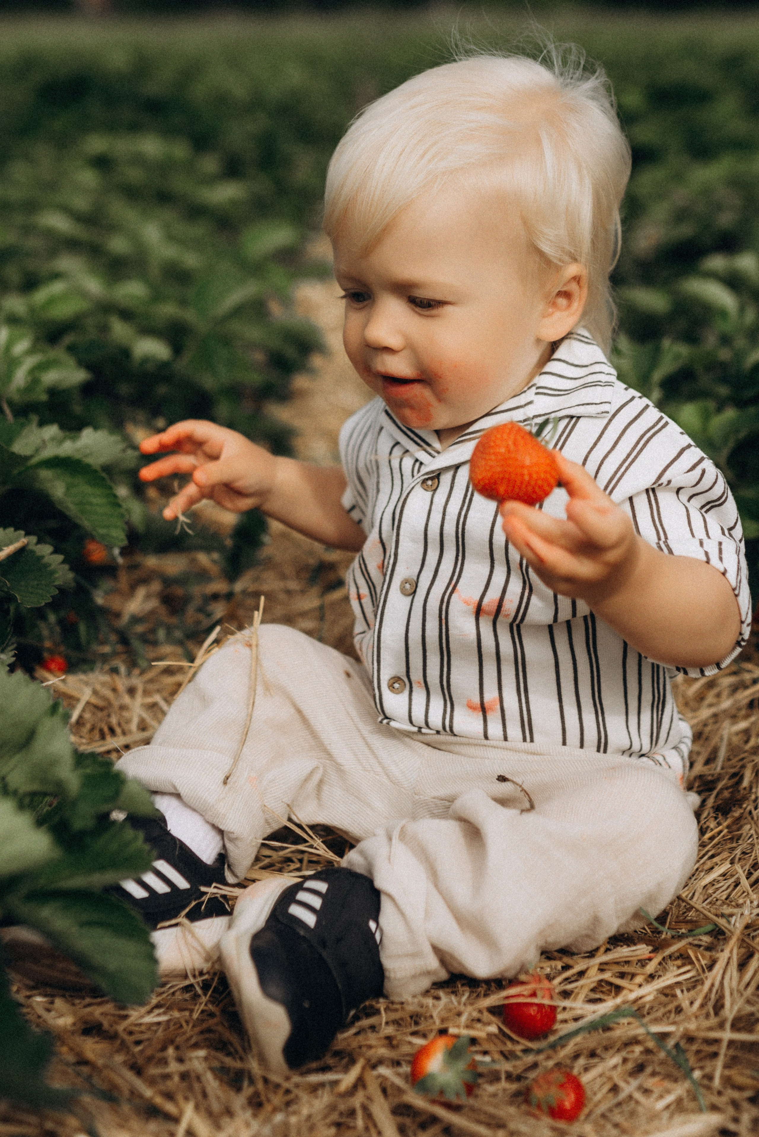 Семейная фотосессия в клубнике. Семейный фотограф Лейпциг, Германия