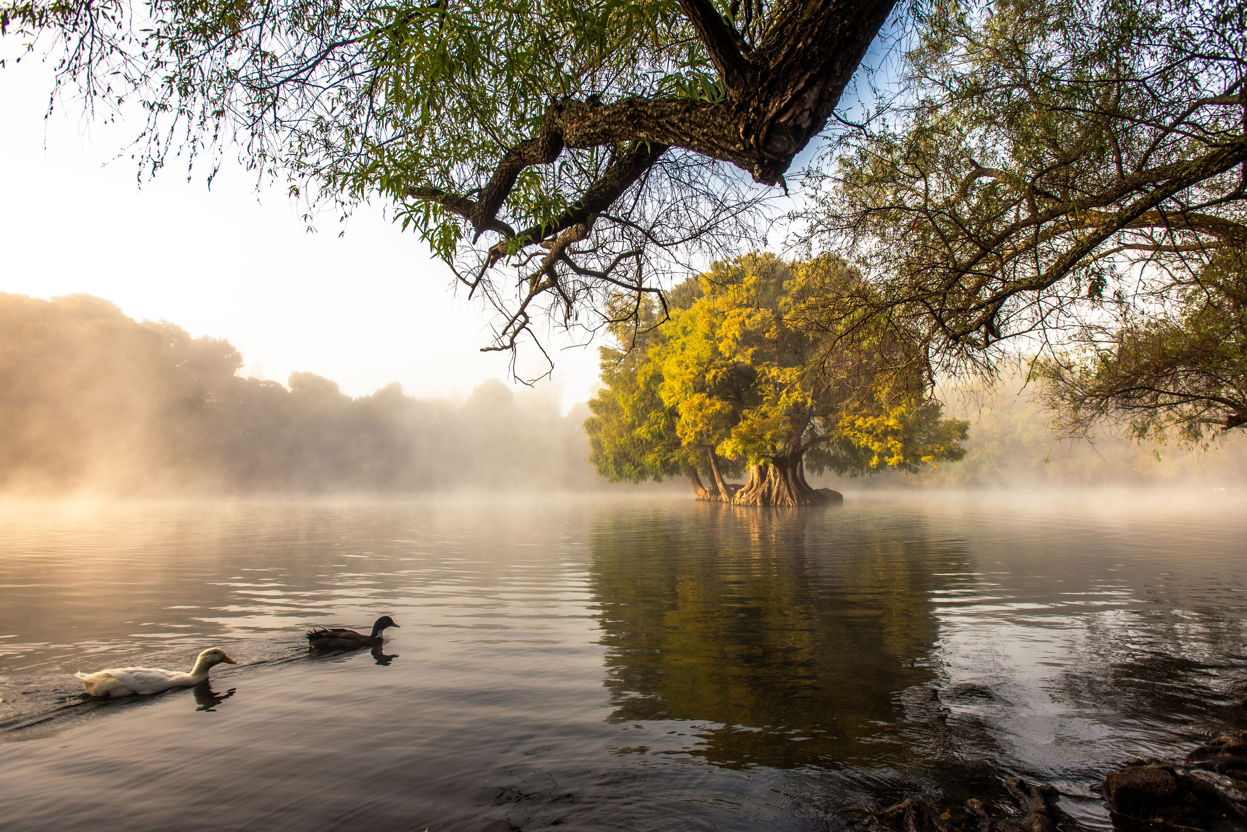 Nirmal Ramo Photographer