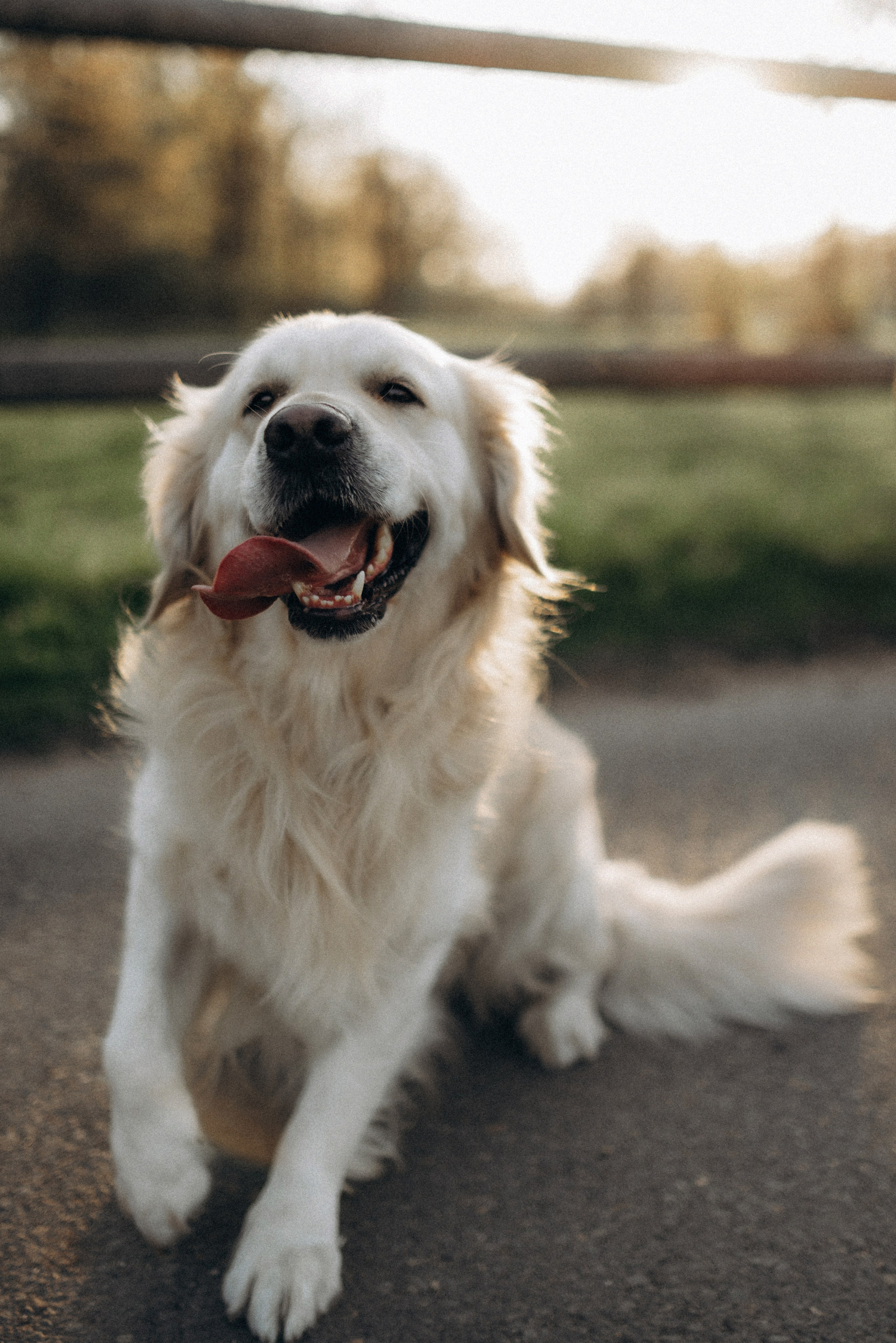 Love Story +Saimon. Семейный фотограф Лейпциг, Германия