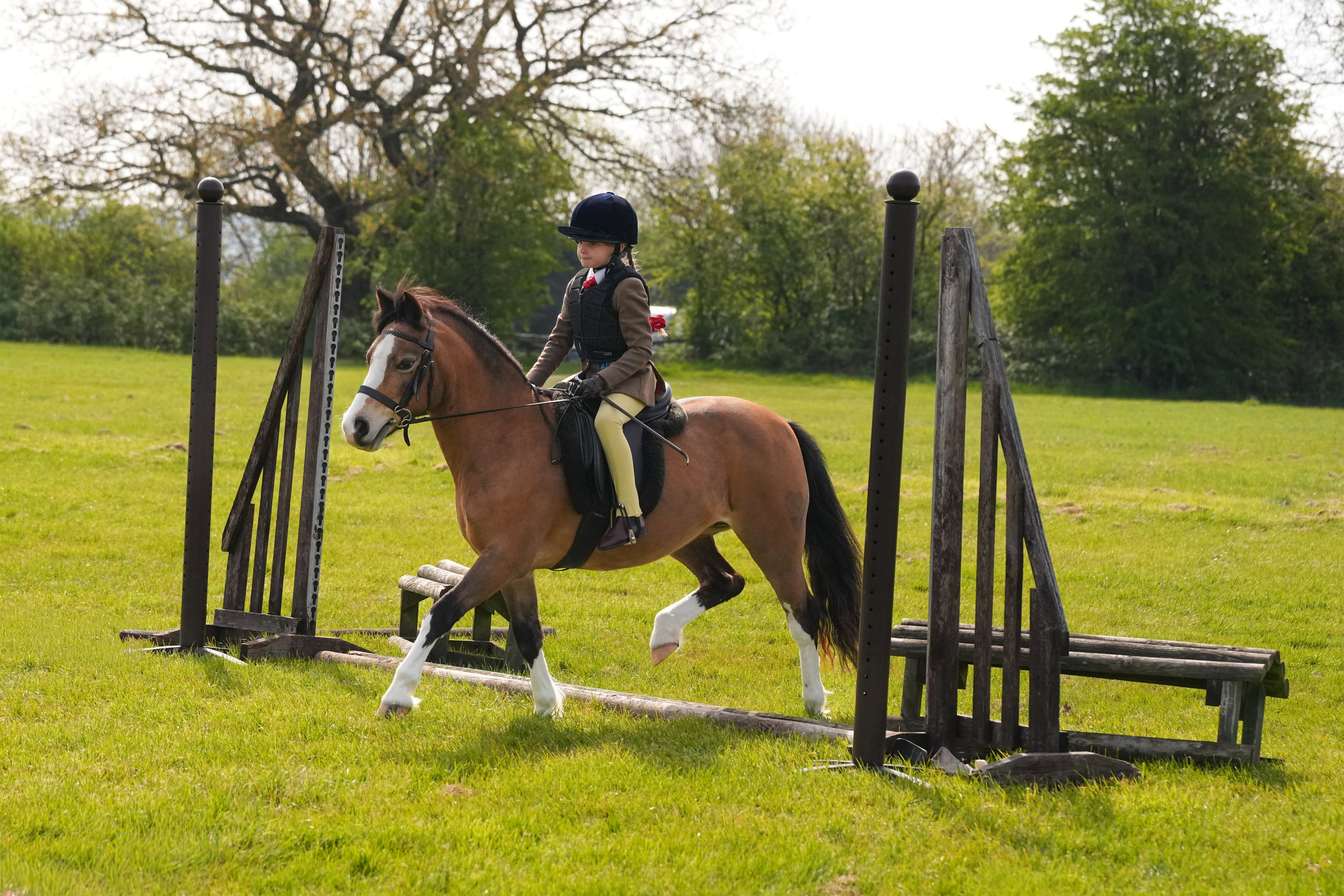Show Jumping Photography in Leicestershire | Equine Action Shots by El. Leicestershire Equine Photography by El | Authentic Equine Portraits & Events