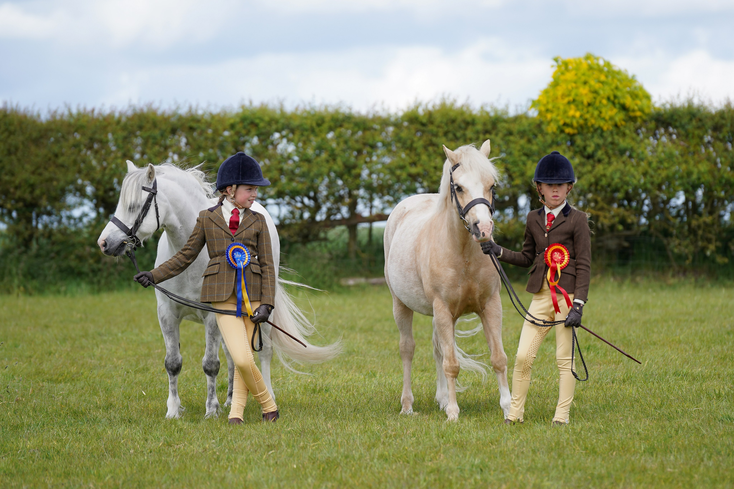 Showing. Leicestershire Equine Photography by El | Authentic Equine Portraits & Events