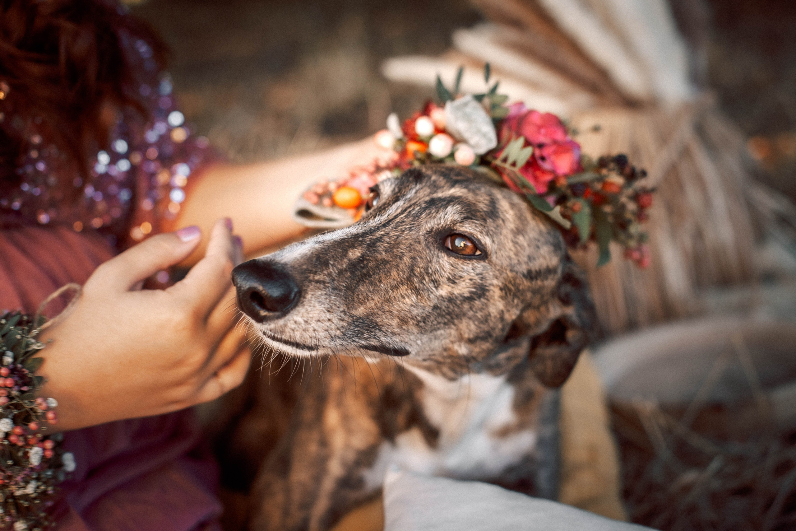 Salome + Ruben. GoldenHourStory