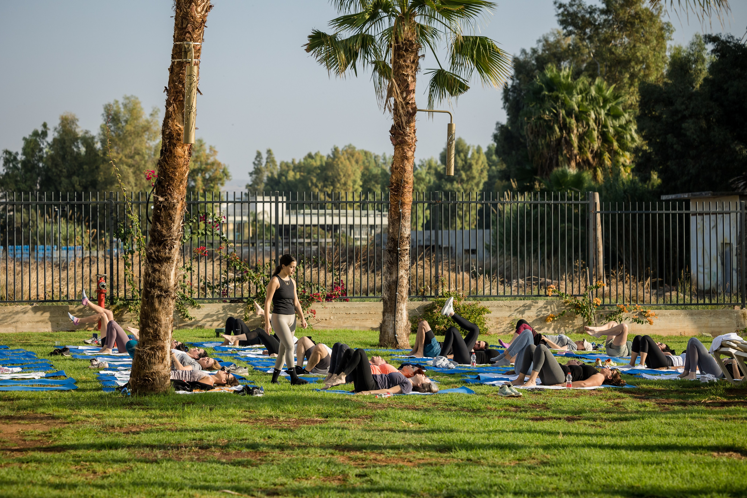 Pfizer. AMIR BUCHNIK PHOTOGRAPHER