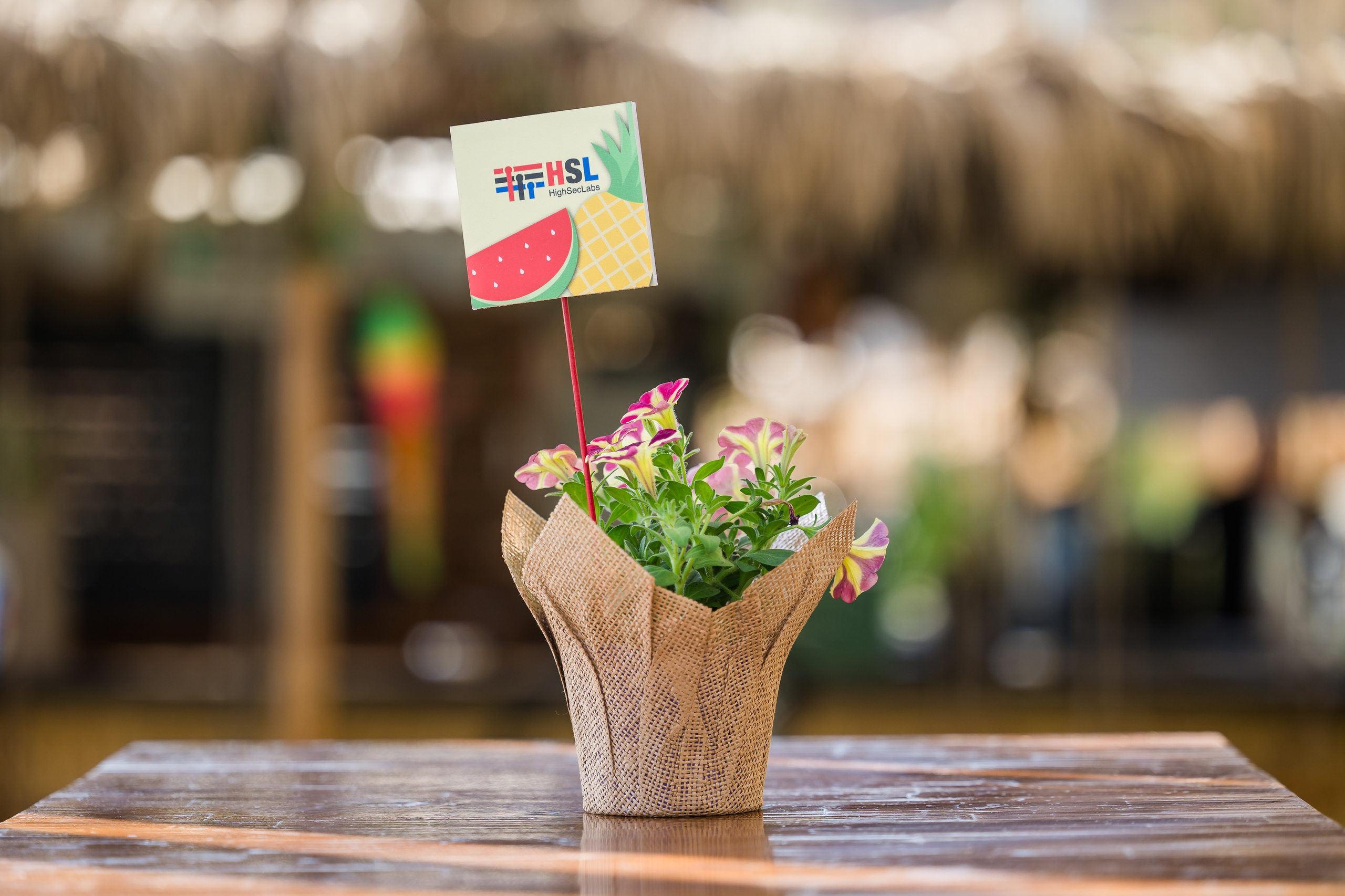 HSL- summer vibes. AMIR BUCHNIK PHOTOGRAPHER