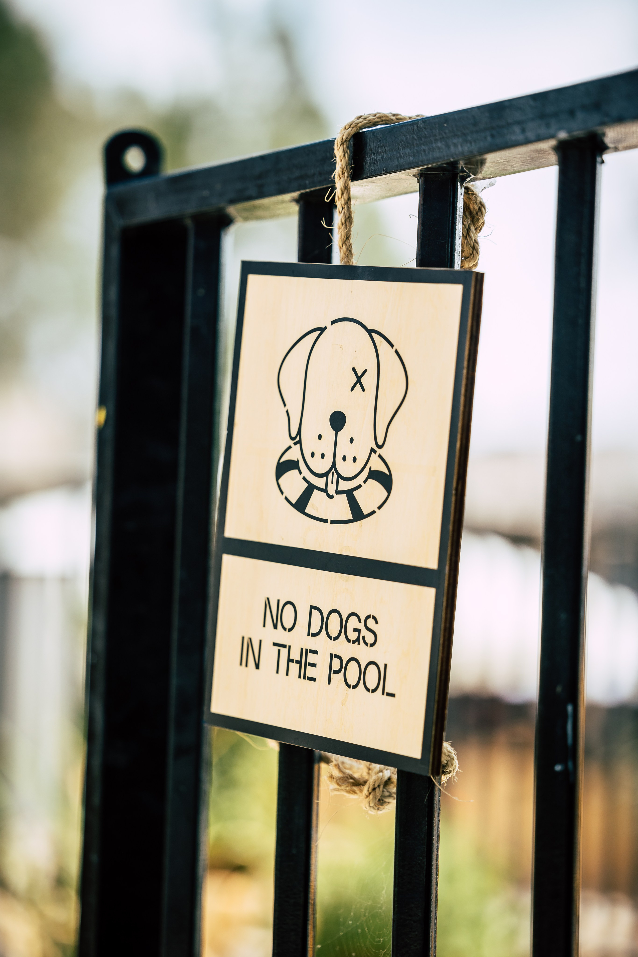 Playtika TIKI TECH. AMIR BUCHNIK PHOTOGRAPHER