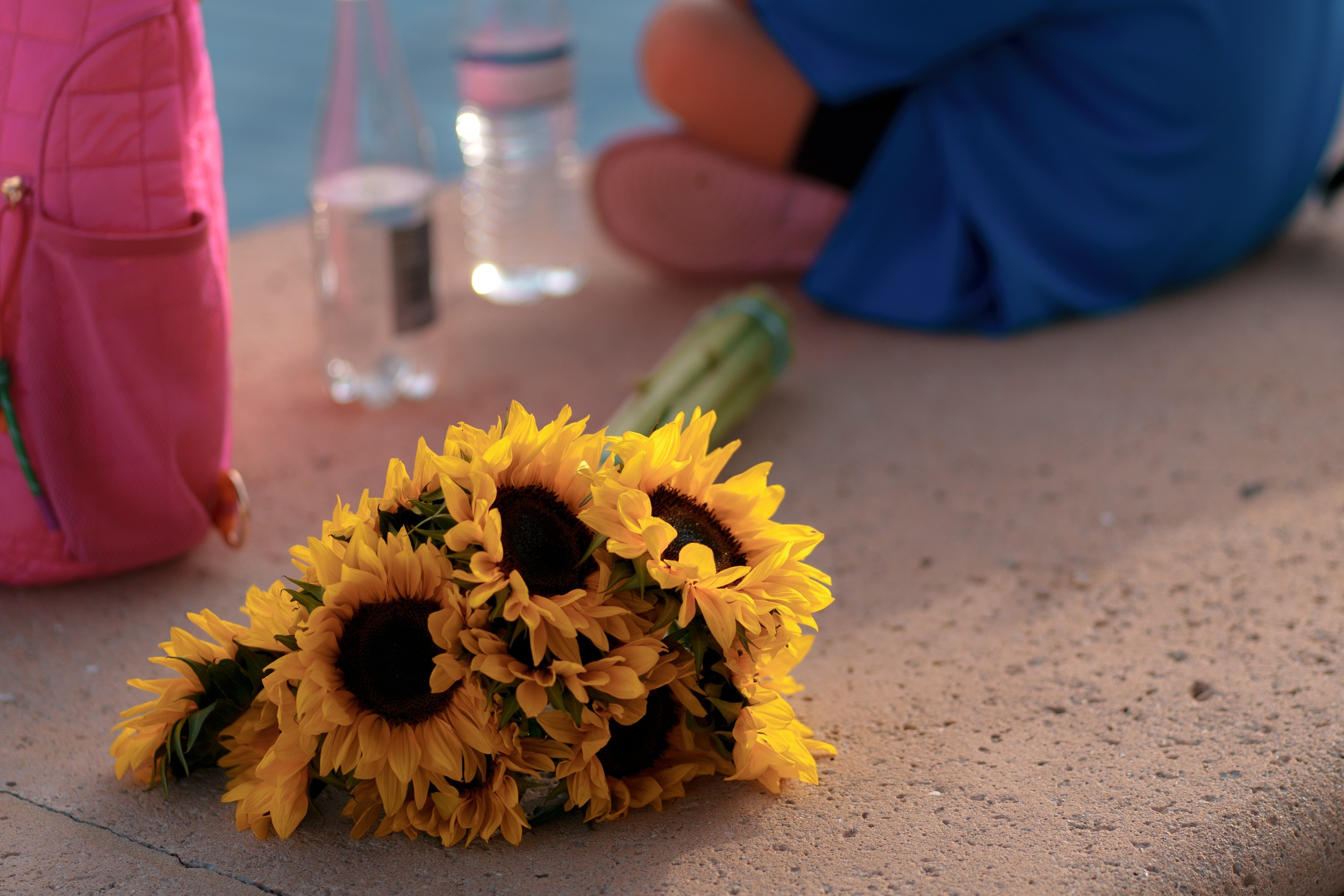 RAZOM RUN. ФОТОГРАФ ФЛОРИДА МАЙАМИ