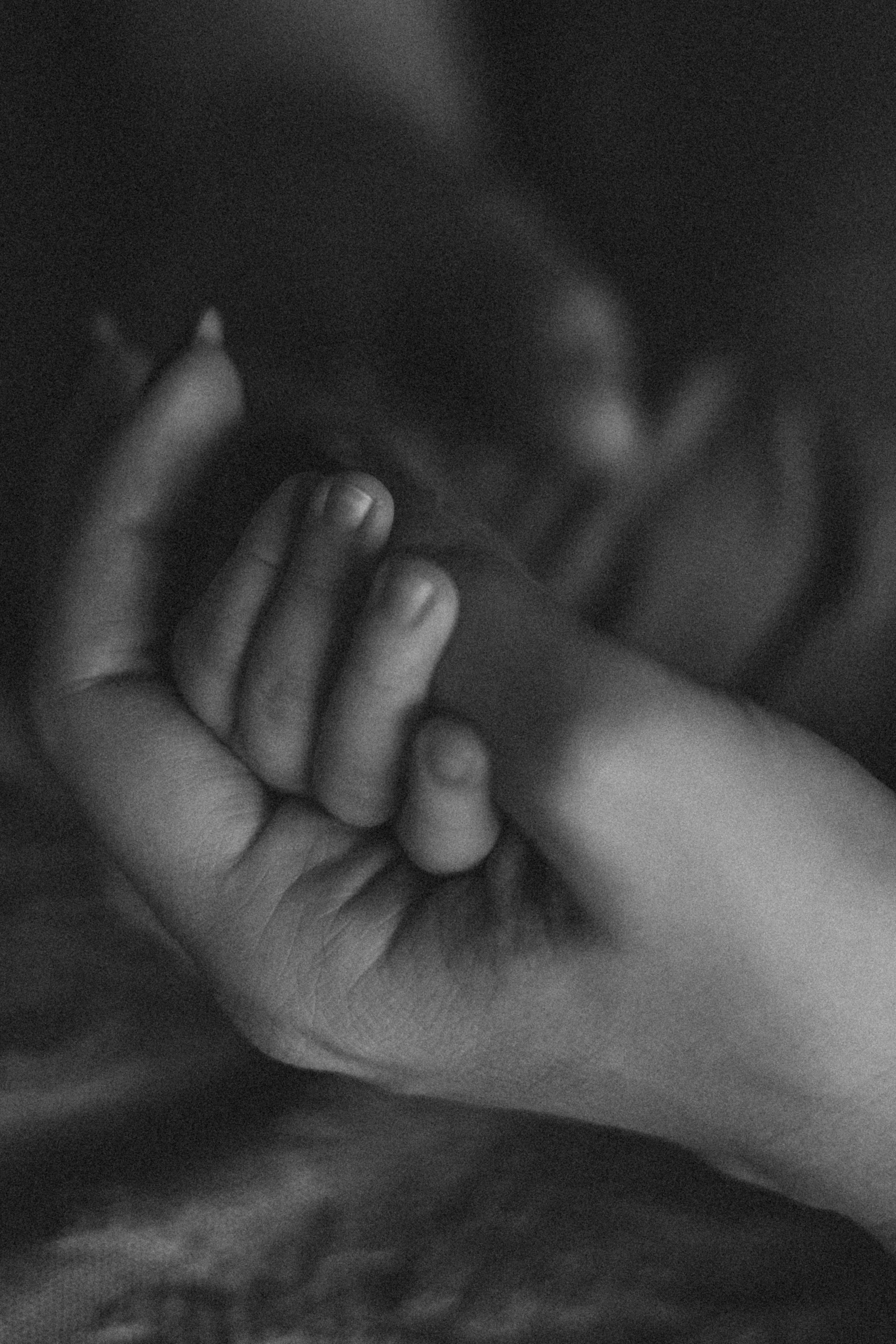 LĪVAS ģimene. GALVENĀ