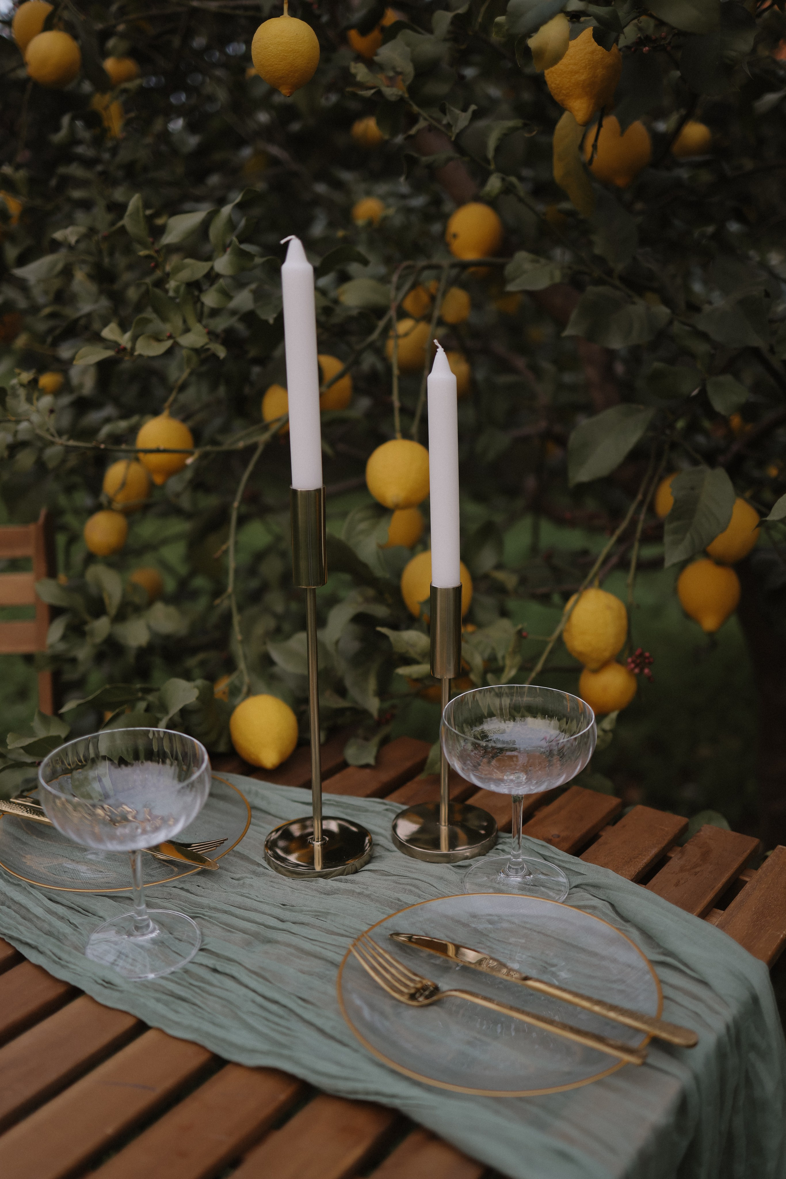 Пикник для двоих. Wedding & Event Planner