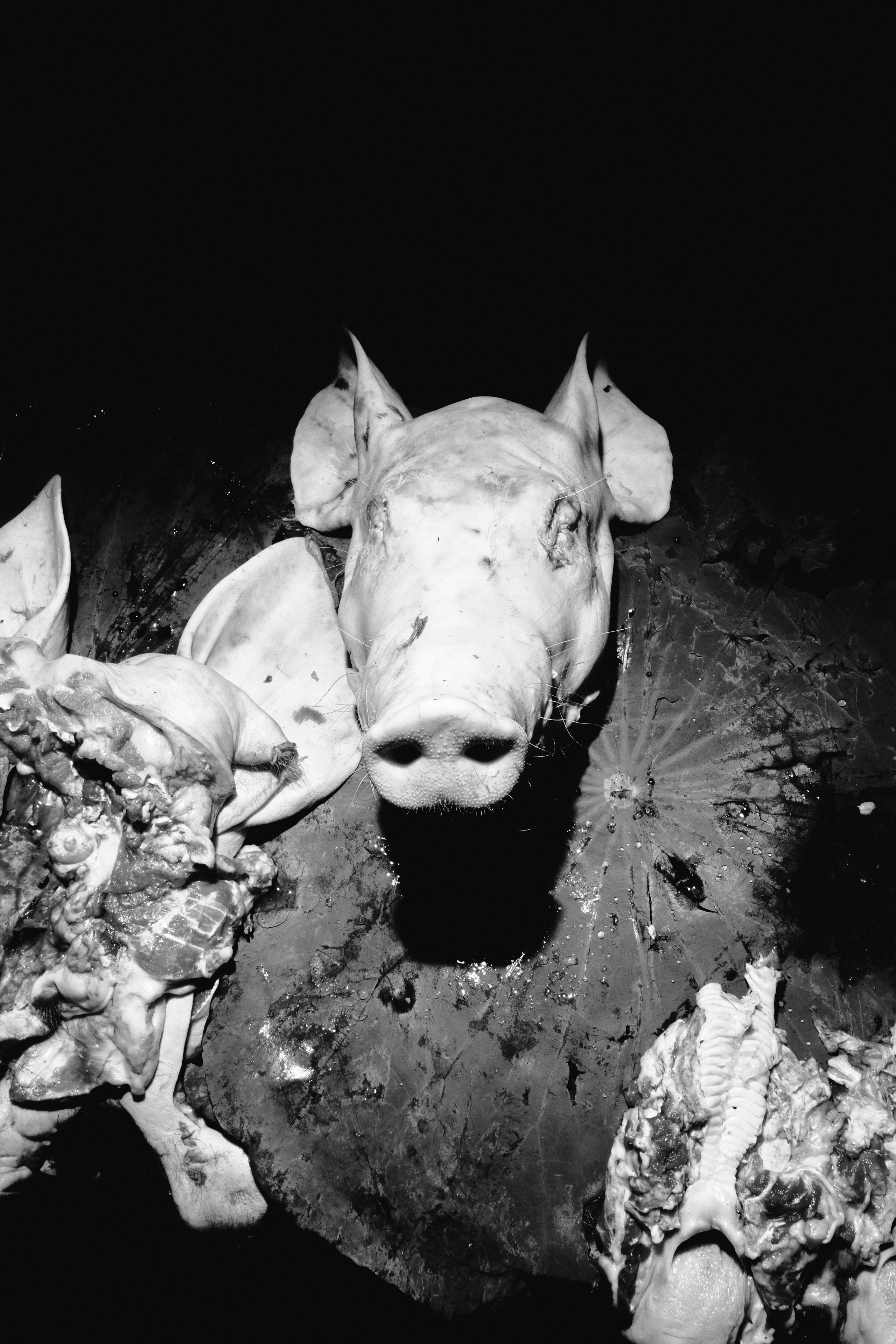 Street. Petr Nabutov. Portrait photography, Cambodia