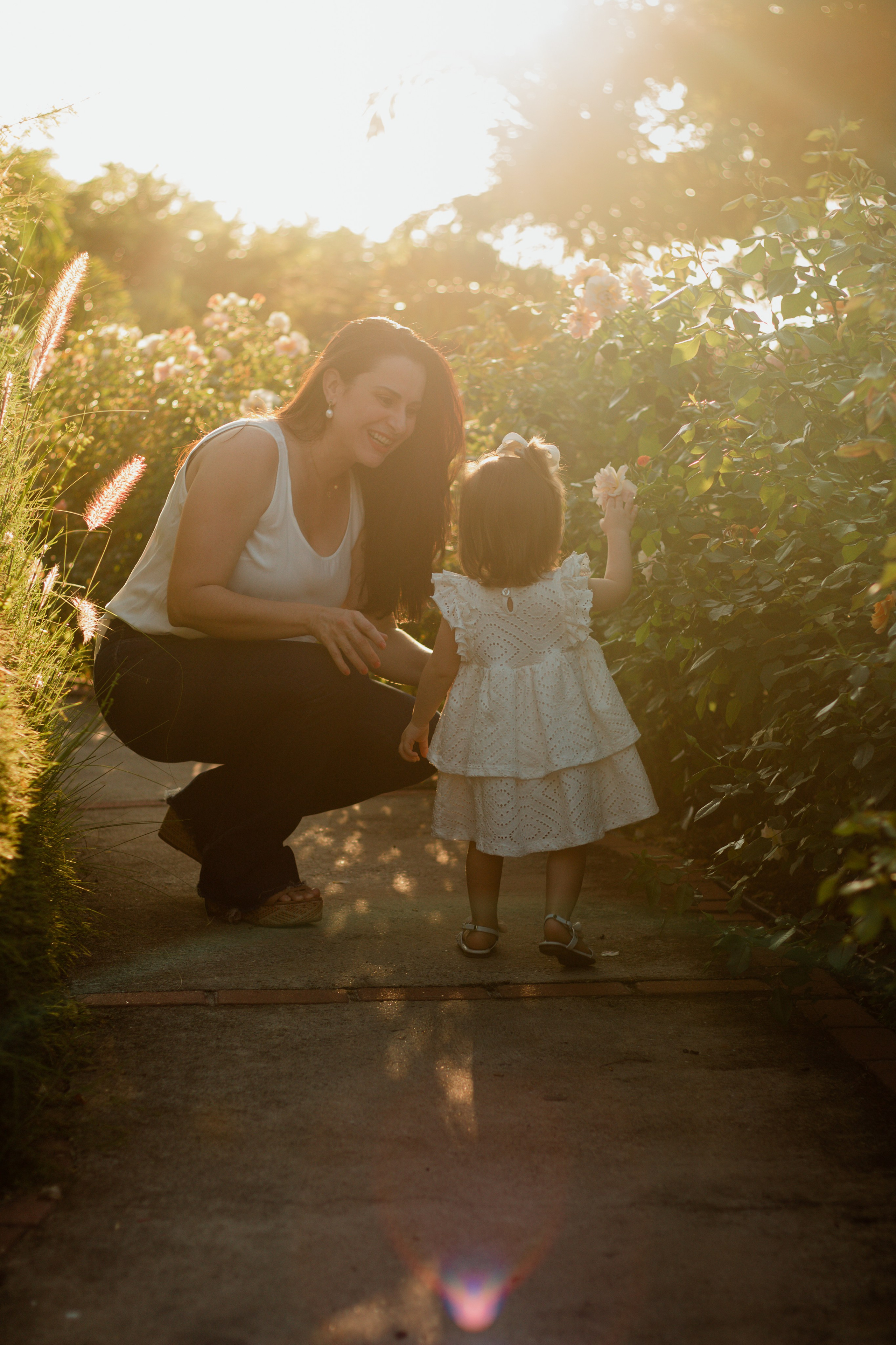 Menina com vestido branco correndo entre rosas brancas durante ensaio de família em Holambra, com luz suave do pôr do sol.