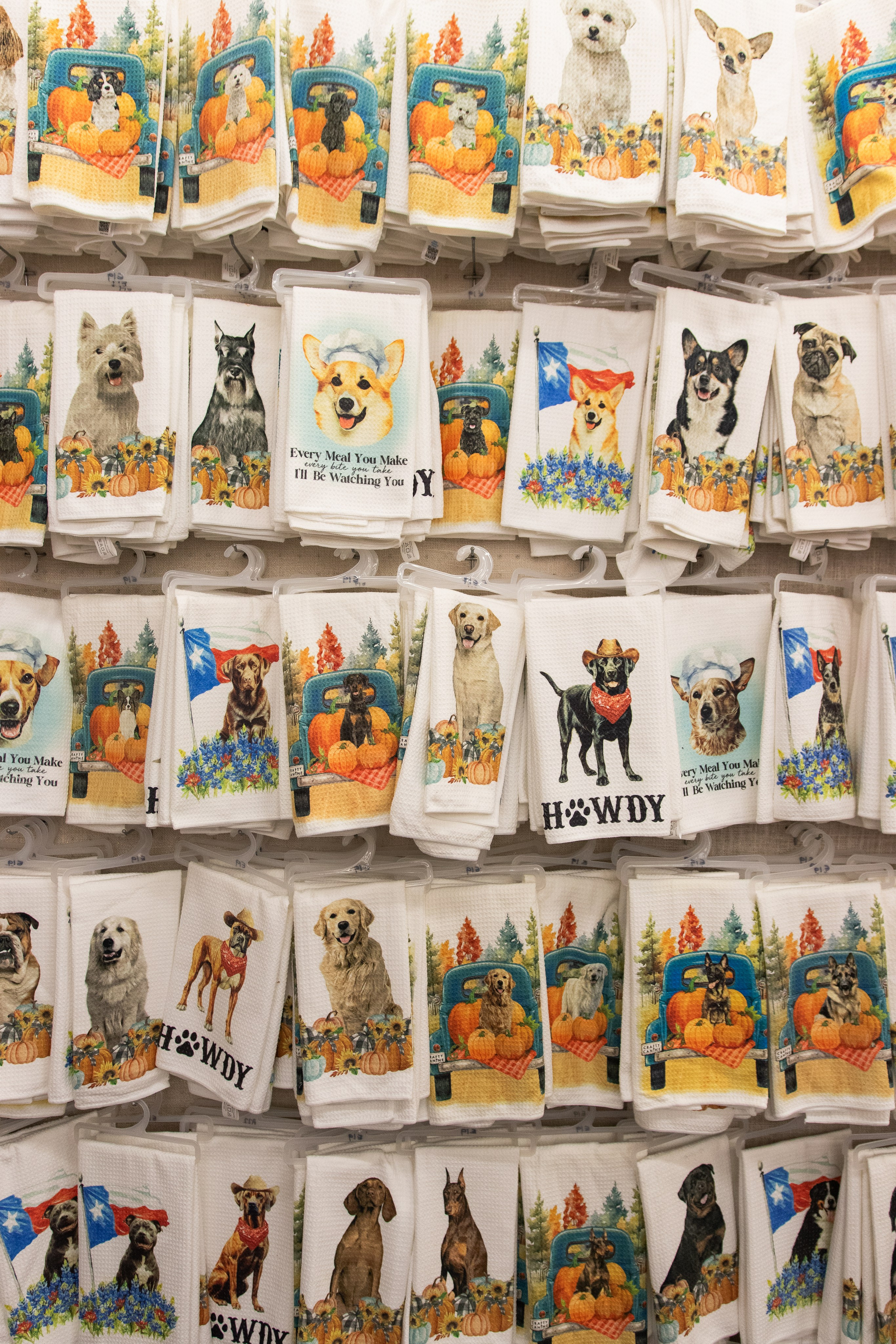 Painted Tree Boutiques fall collection retail photoshoot in Round Rock