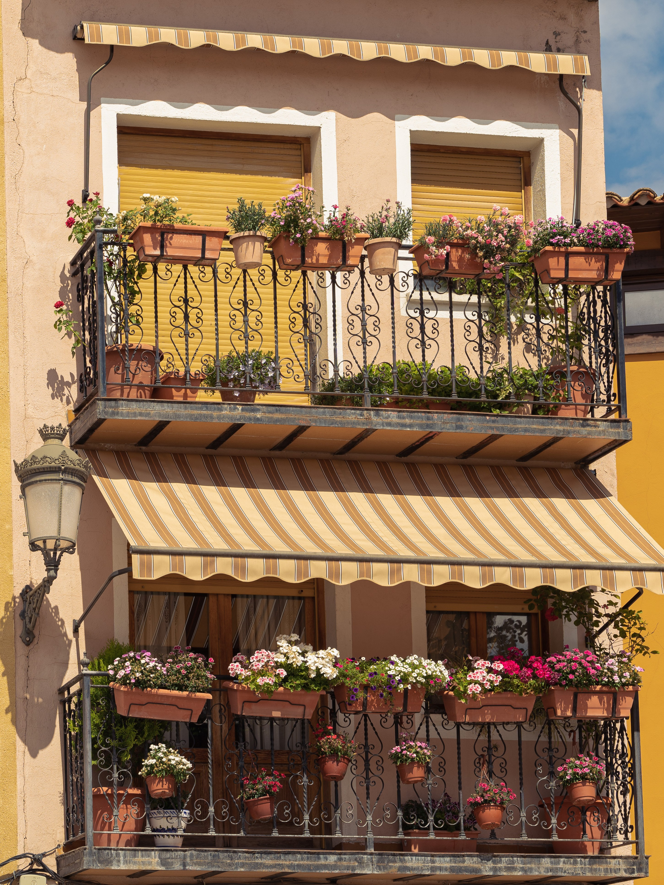 Brihuega. Фотограф в Мадриде Алена Белянинова