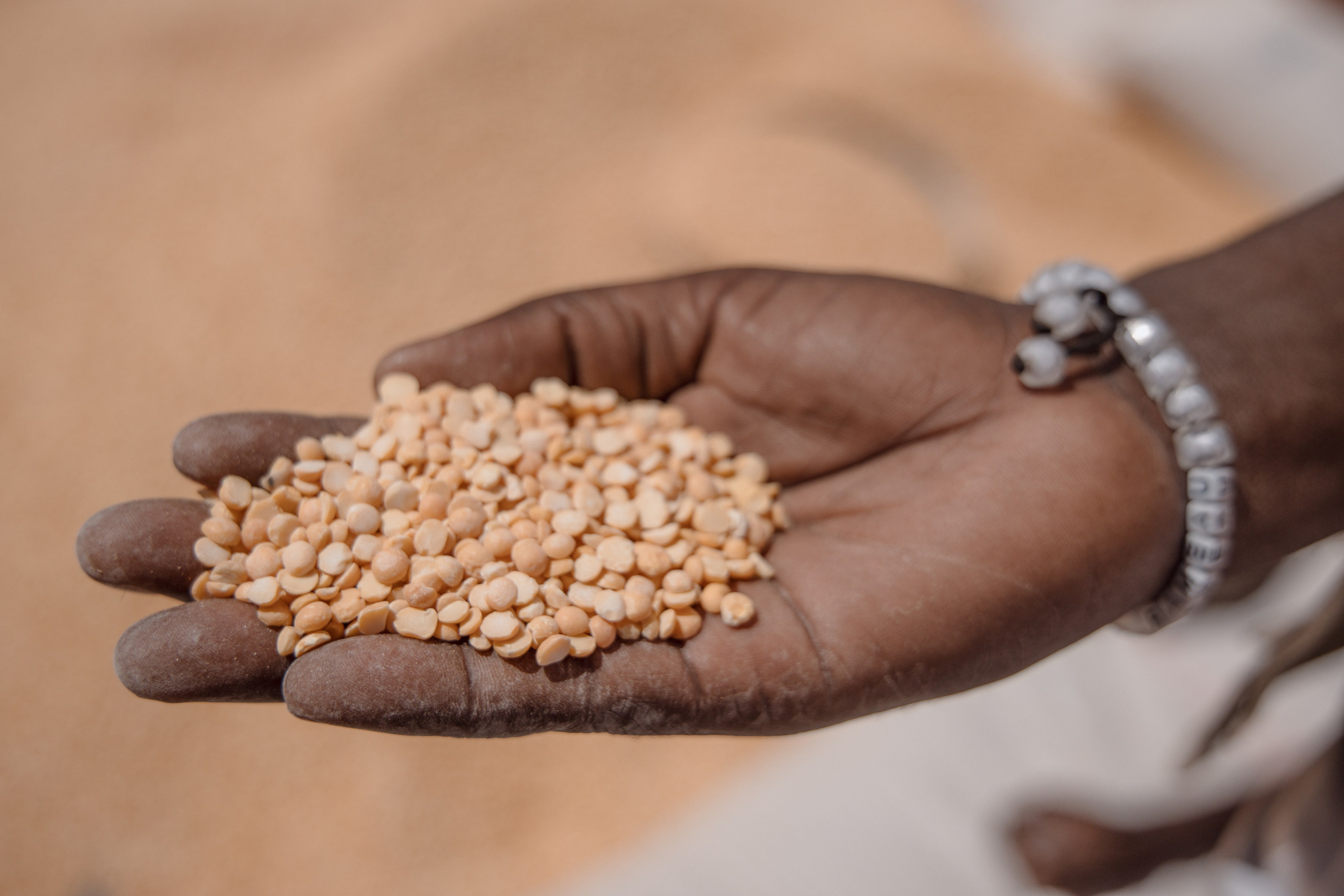 Chad / Darfur. Photo reporter français basé à Paris