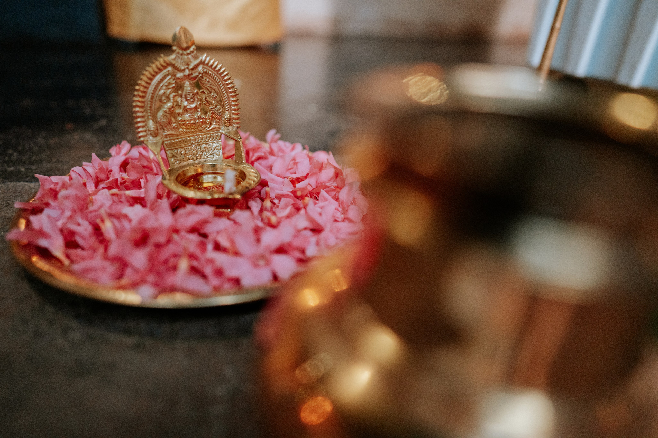 Krishna & Gayathri