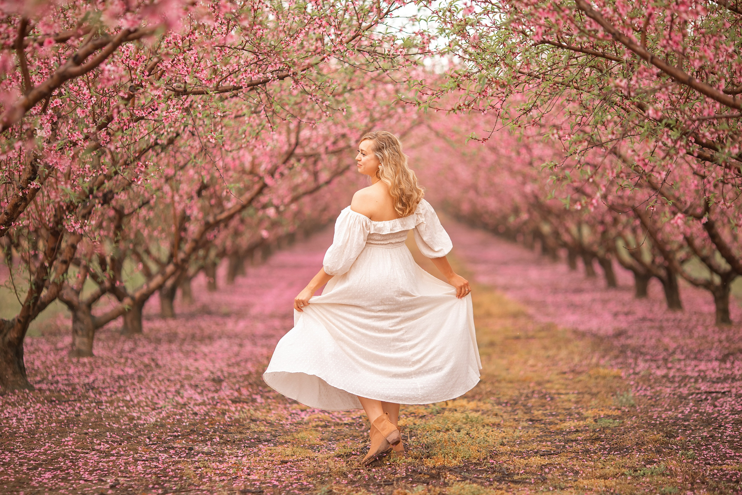 Most anticipated peach blossom in South Carolina. Wedding and portrait photography in Greenville SC