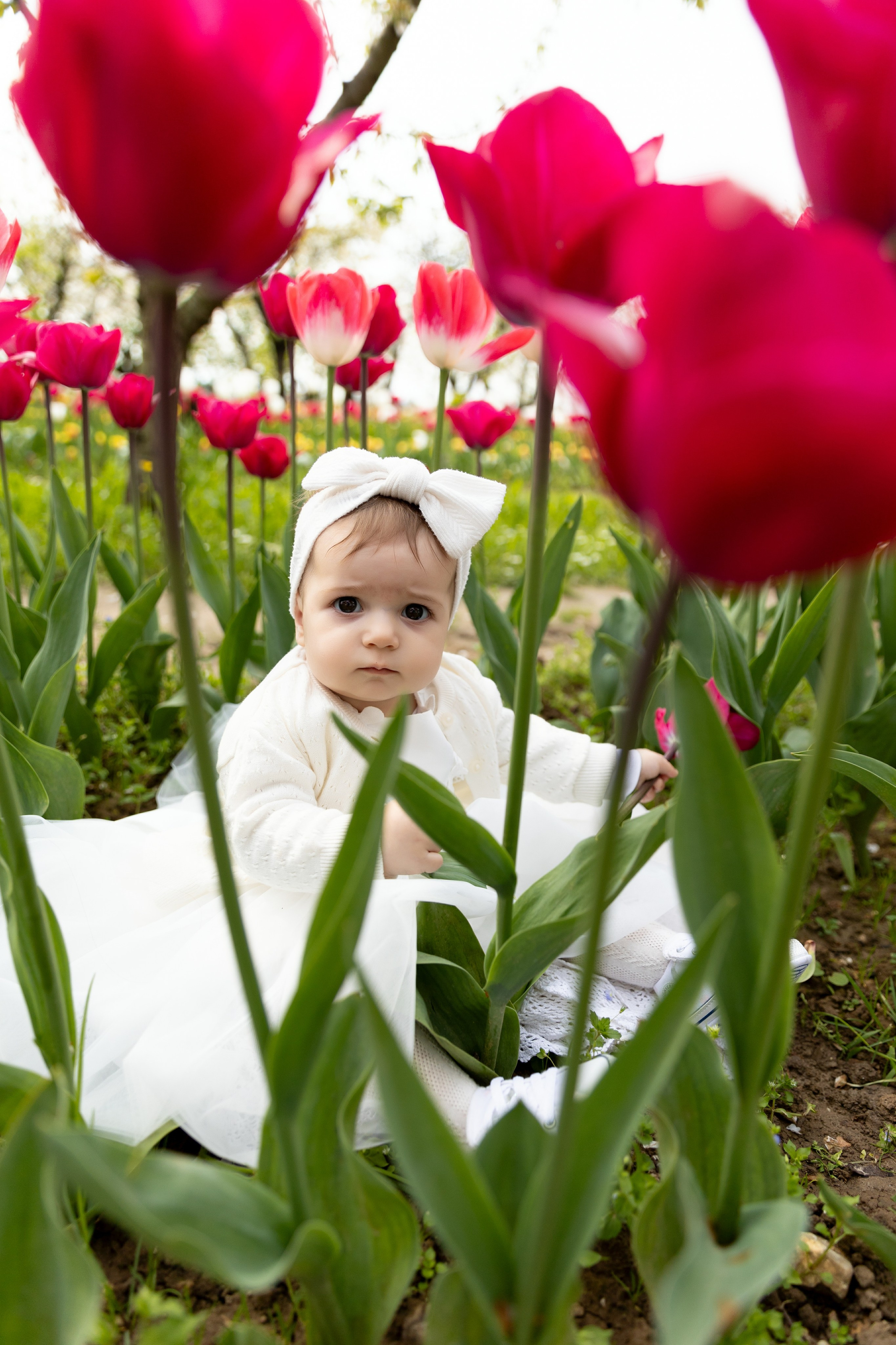 Camilla, Annalisa e Vanni. Luci e Capricci Photography