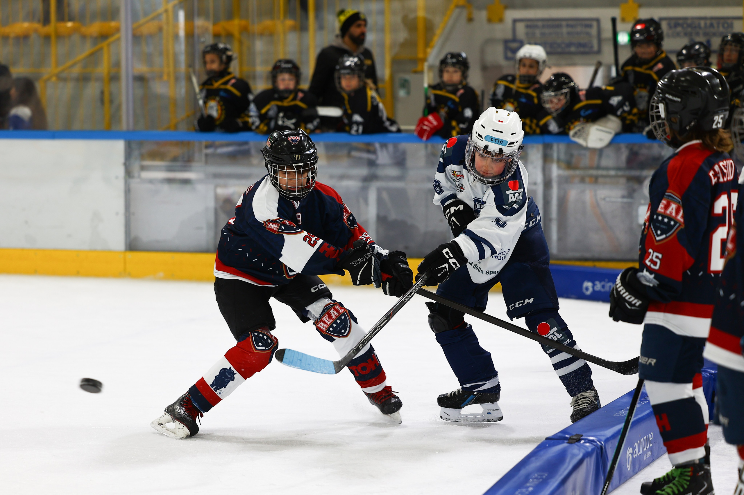 Sport Events. Photographer, Videomaker, Drone, Padova, Venice, Italy, Elena Radchenko