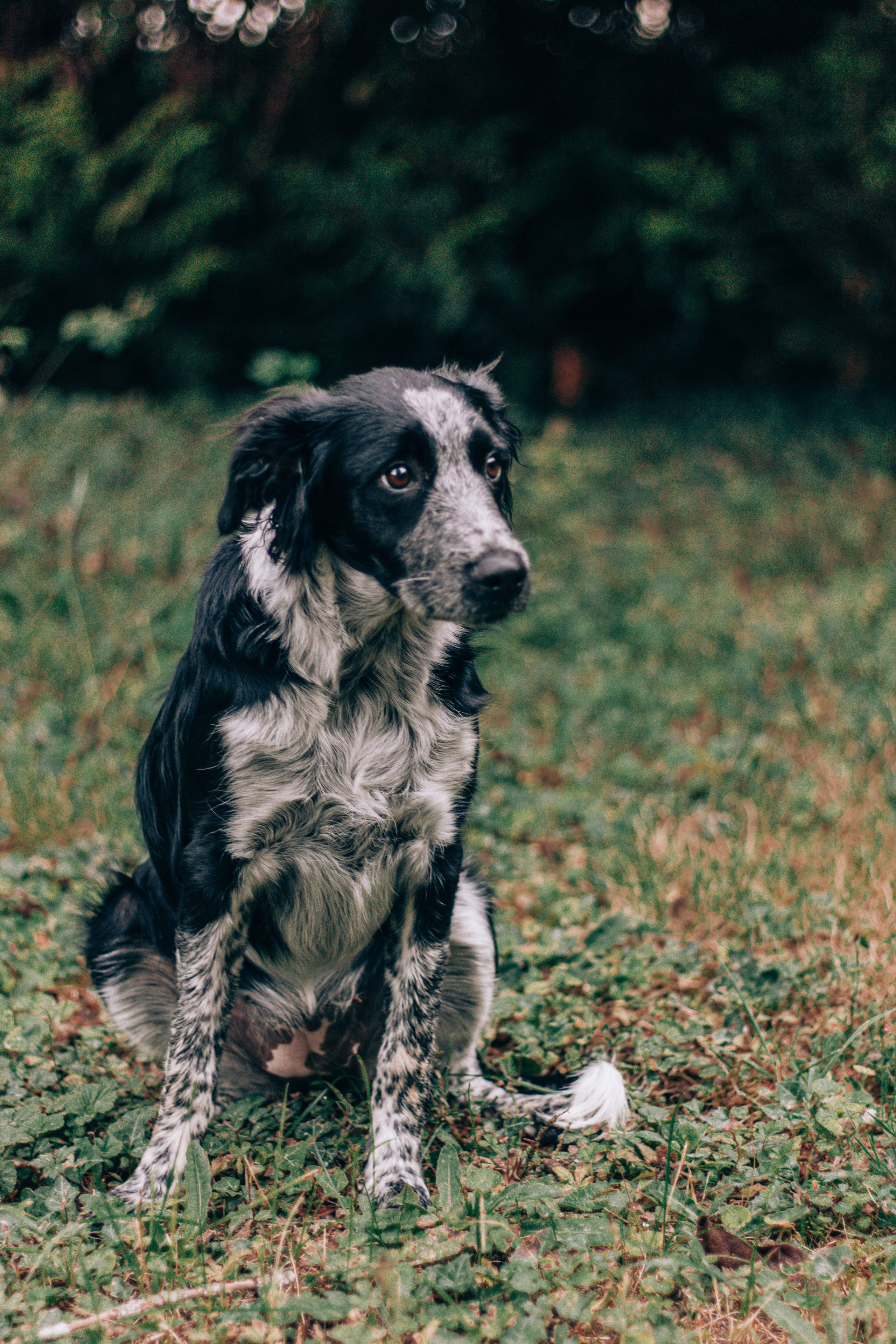 Johanna et sa famille. Studio photo « Partage ton bonheur » – Photographe famille près de Châtellerault, Poitiers et Tours
