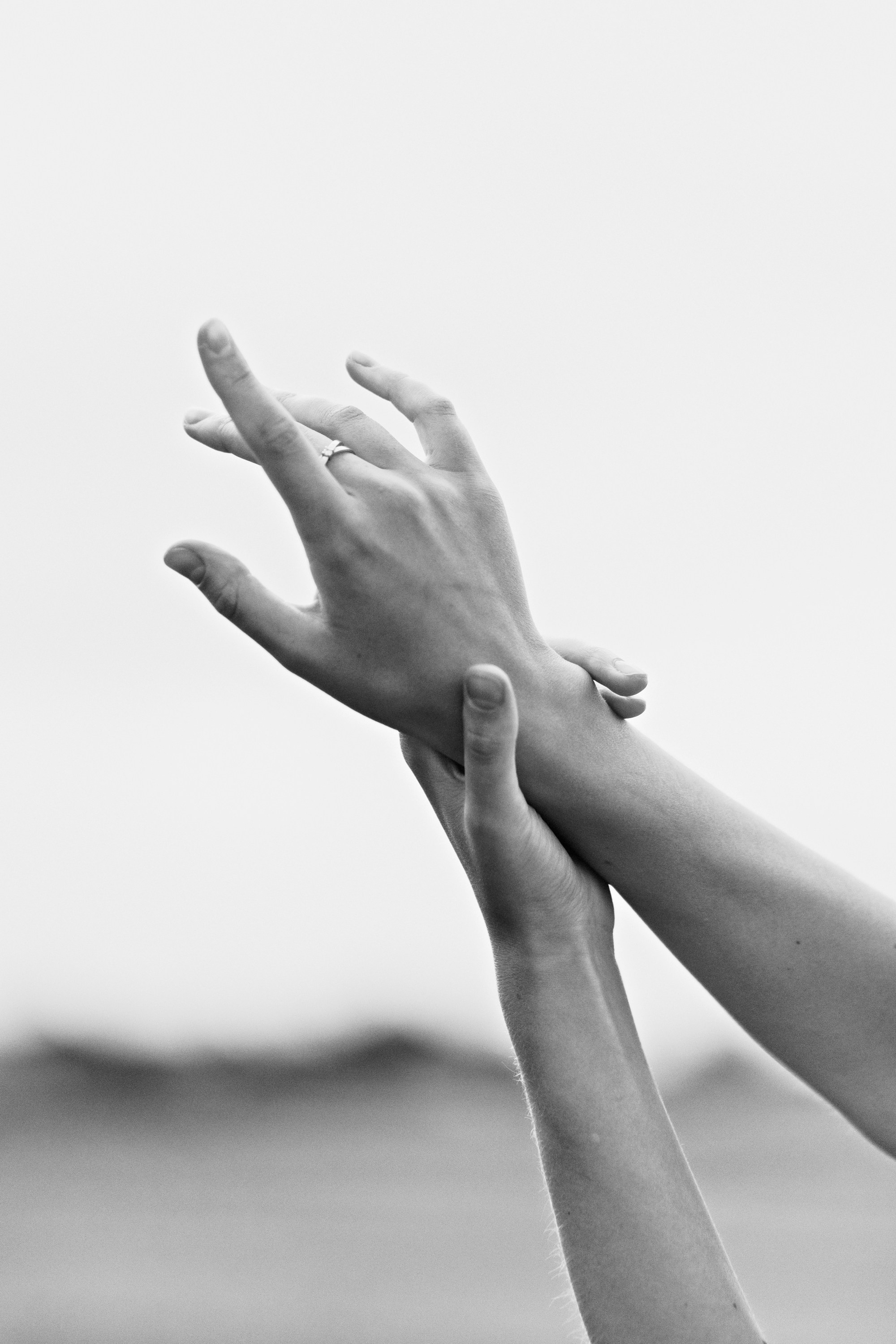 Katya | tenderness in the field. Kaja | fotograf psów we Wrocławiu