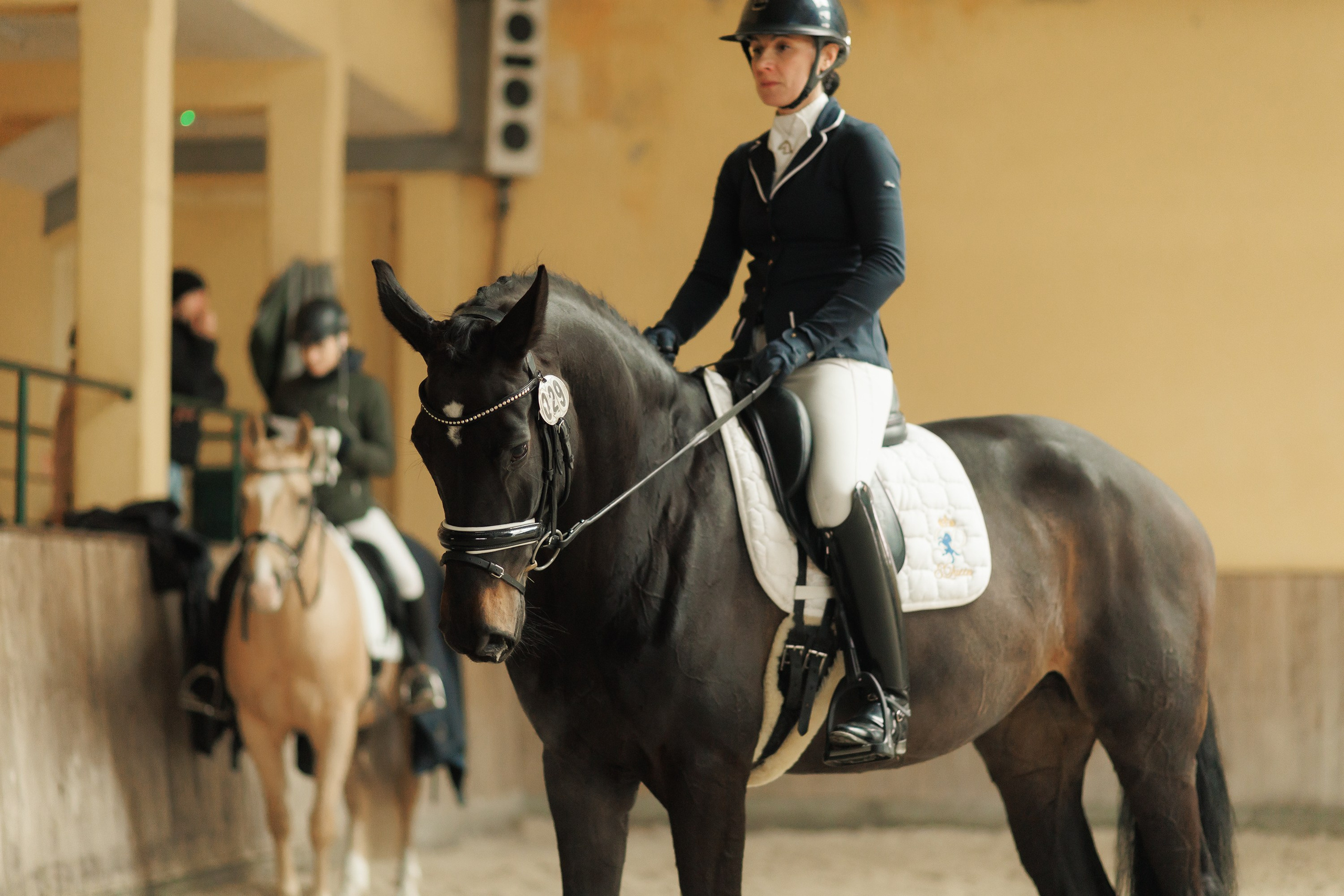 Partynice dressage \ feb'25. Kaja | fotograf we Wrocławiu | ludzie i psy