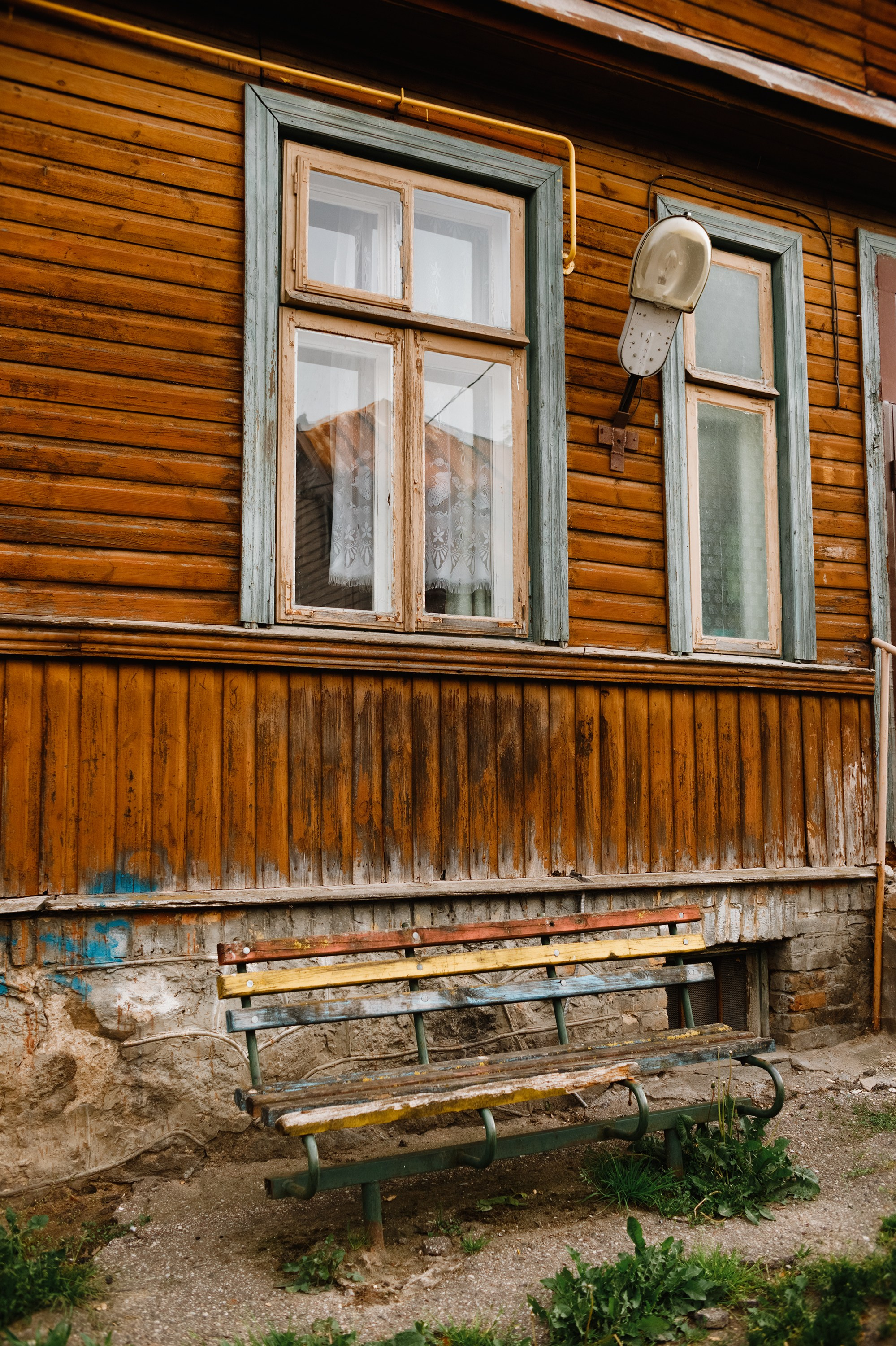 Grodno. Kaja | fotograf we Wrocławiu | ludzie i psy