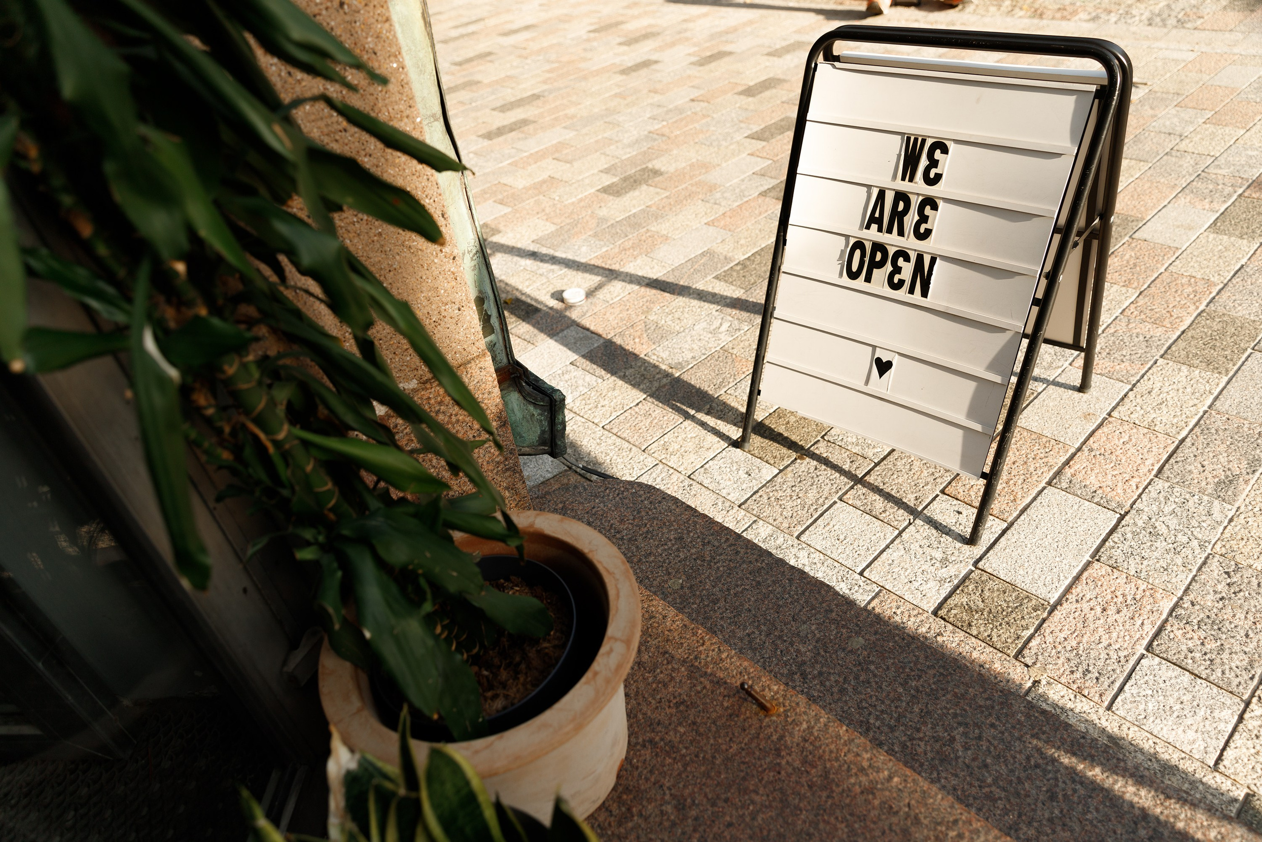 Helsinki. Kaja | fotograf psów we Wrocławiu