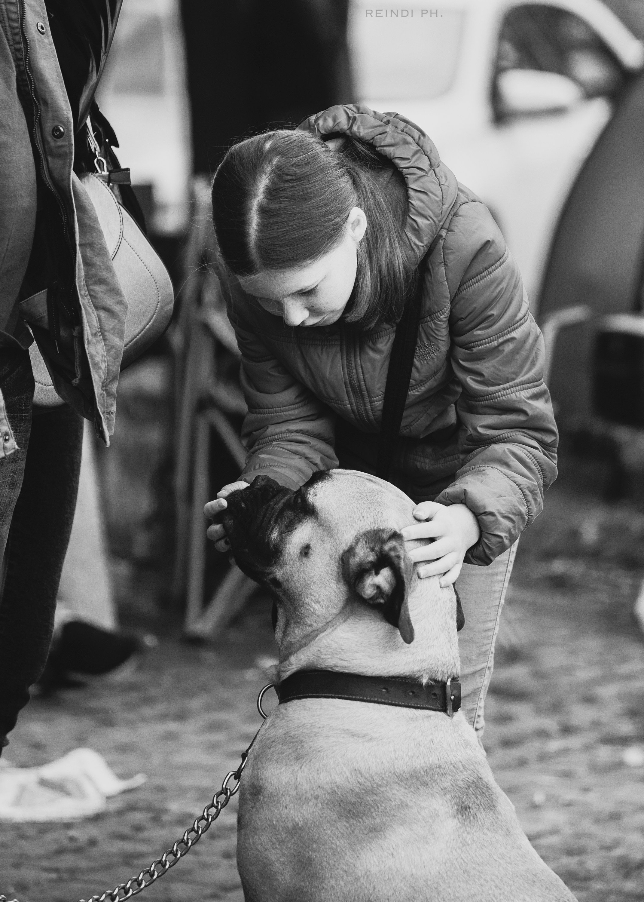 «Argus» dog show in Brest. Kaja | fotograf we Wrocławiu | ludzie i psy