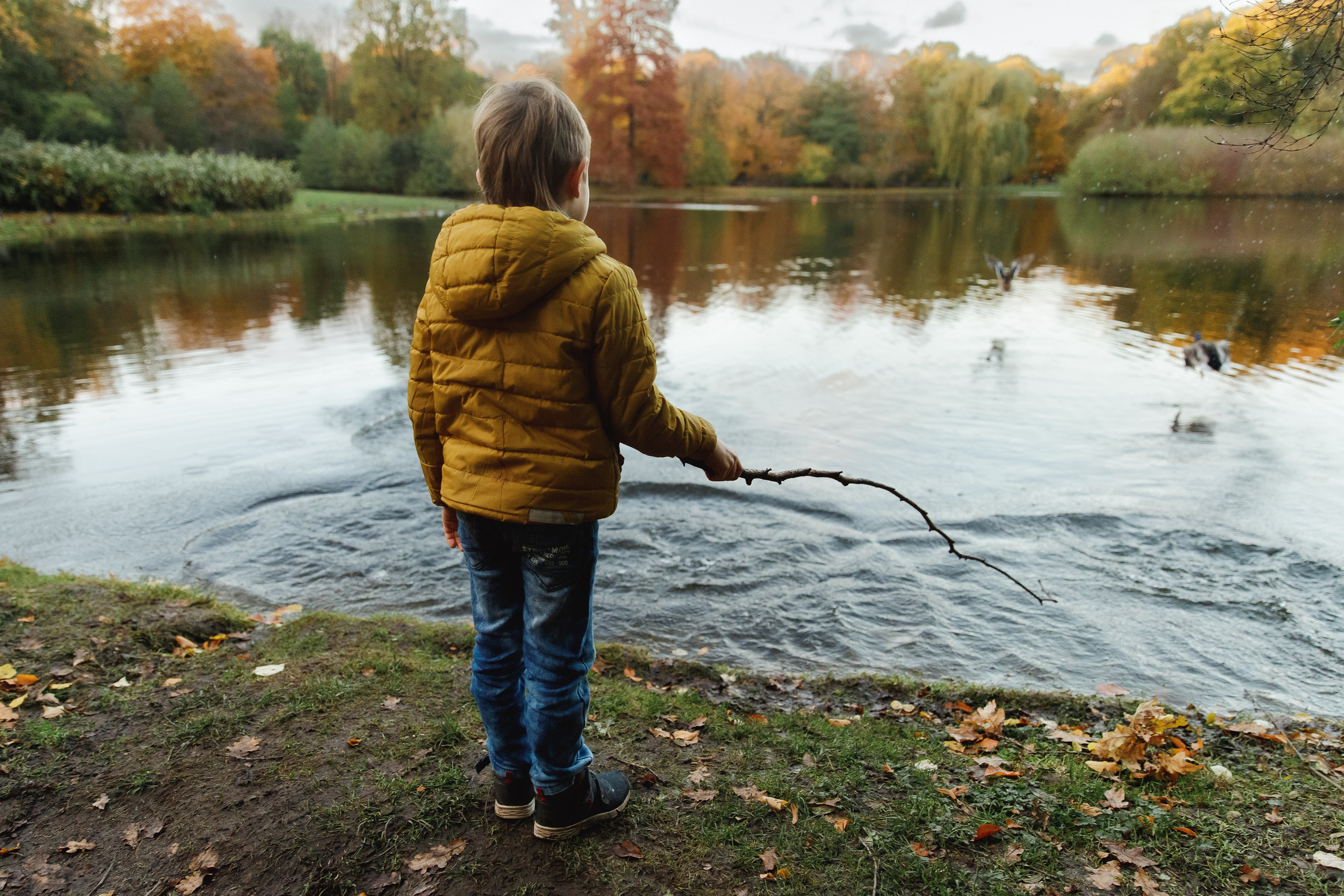 Tatiana & Adam. Kaja | fotograf psów we Wrocławiu