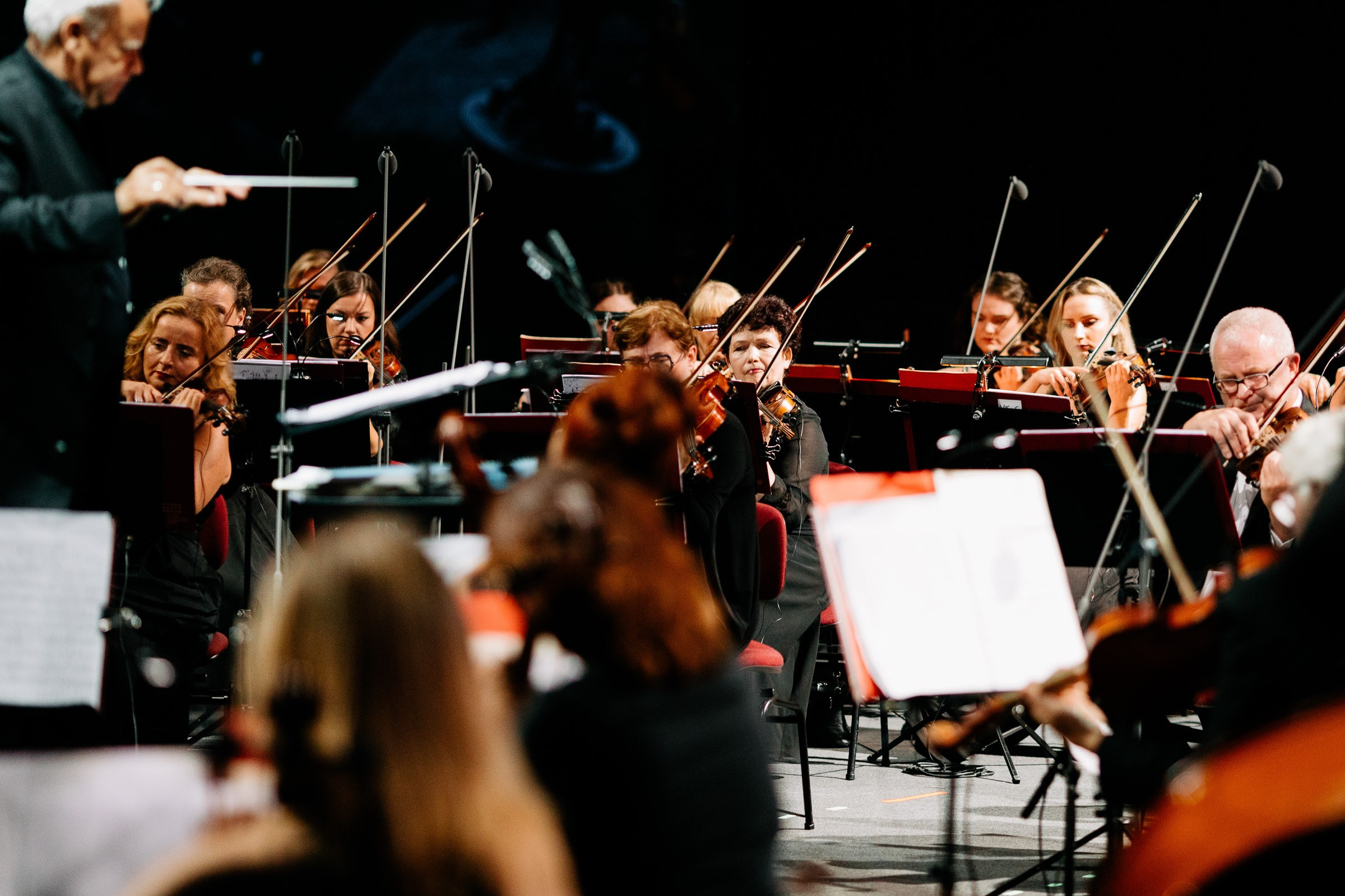 Opera Leśna Koncert. Fotograf Ślubny Warszawa - Sesje Biznesowe Rodzinne Eventy