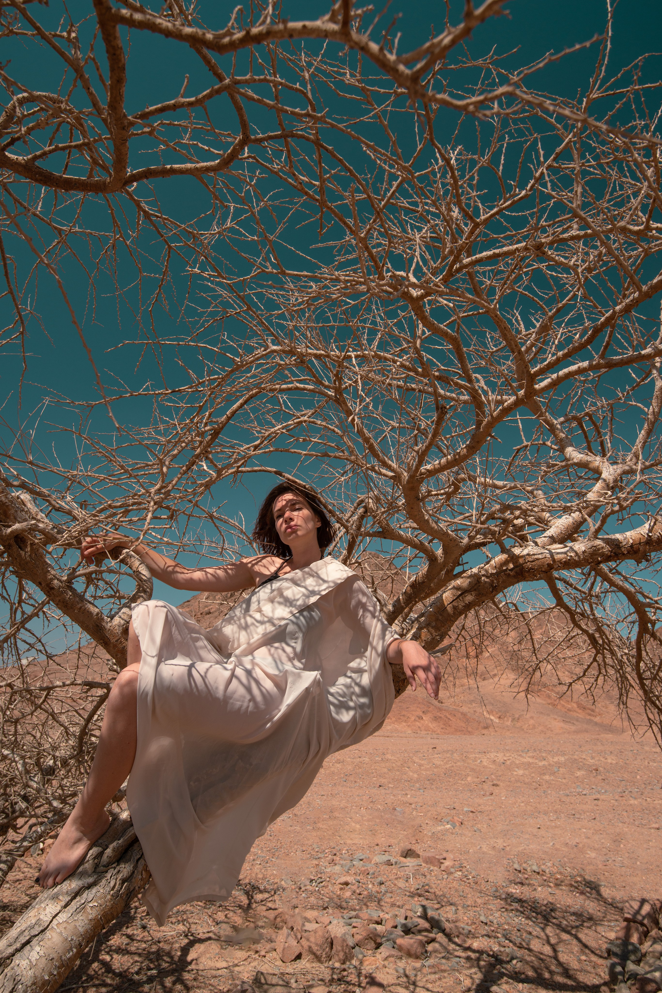 Portrait photography Dina Solomina. Dina Solomina | Photographer in Israel