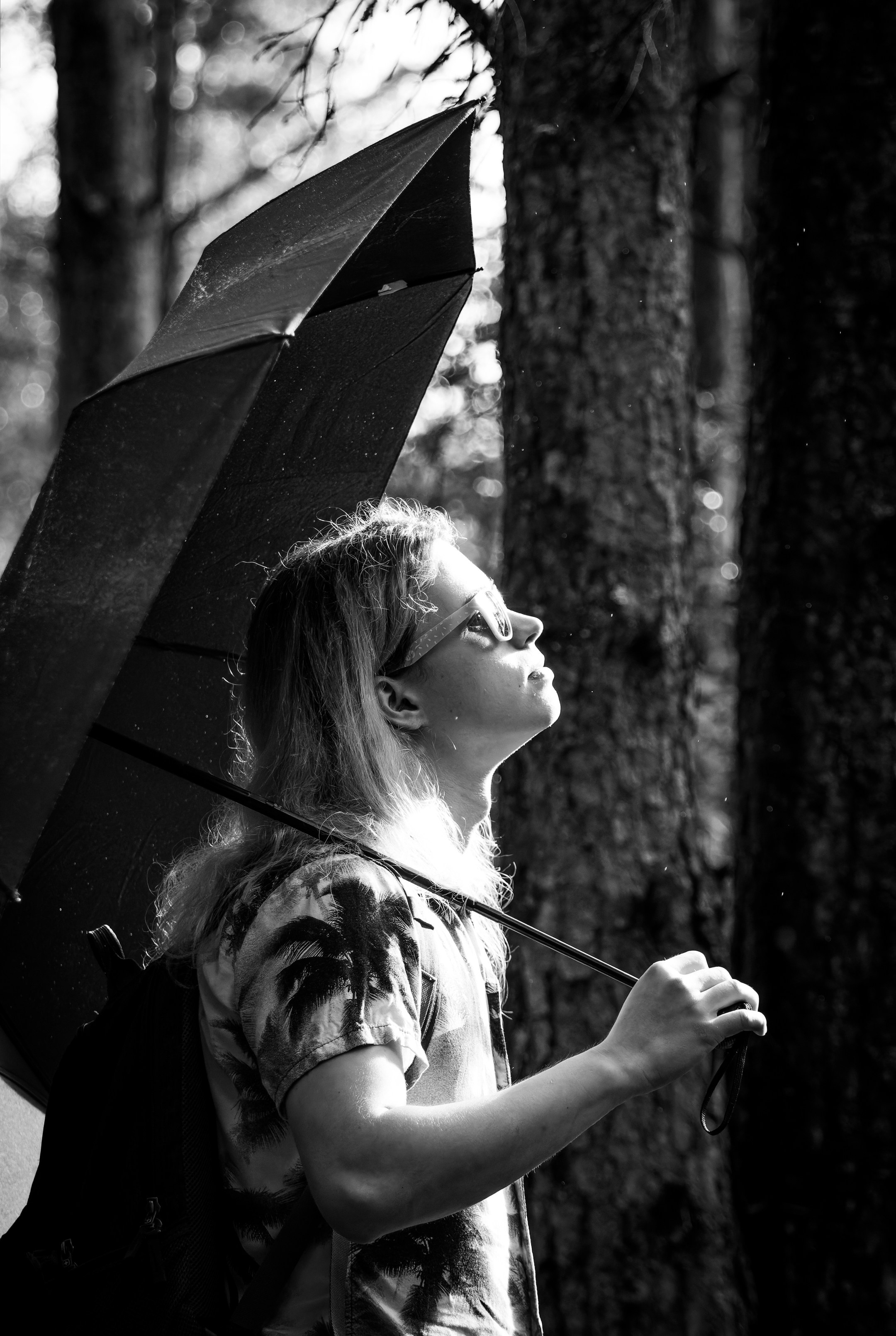 Mets, vihm ja jahedus (Dimitry). Nebula 25 — Fotod teie hingele