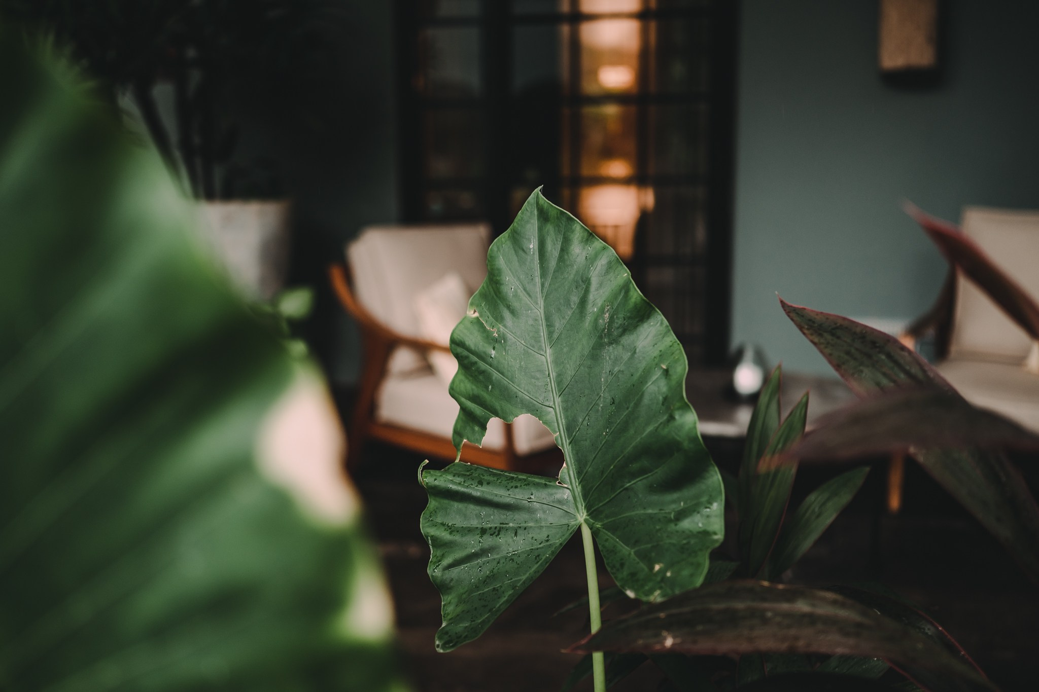 Fotografía de espacios